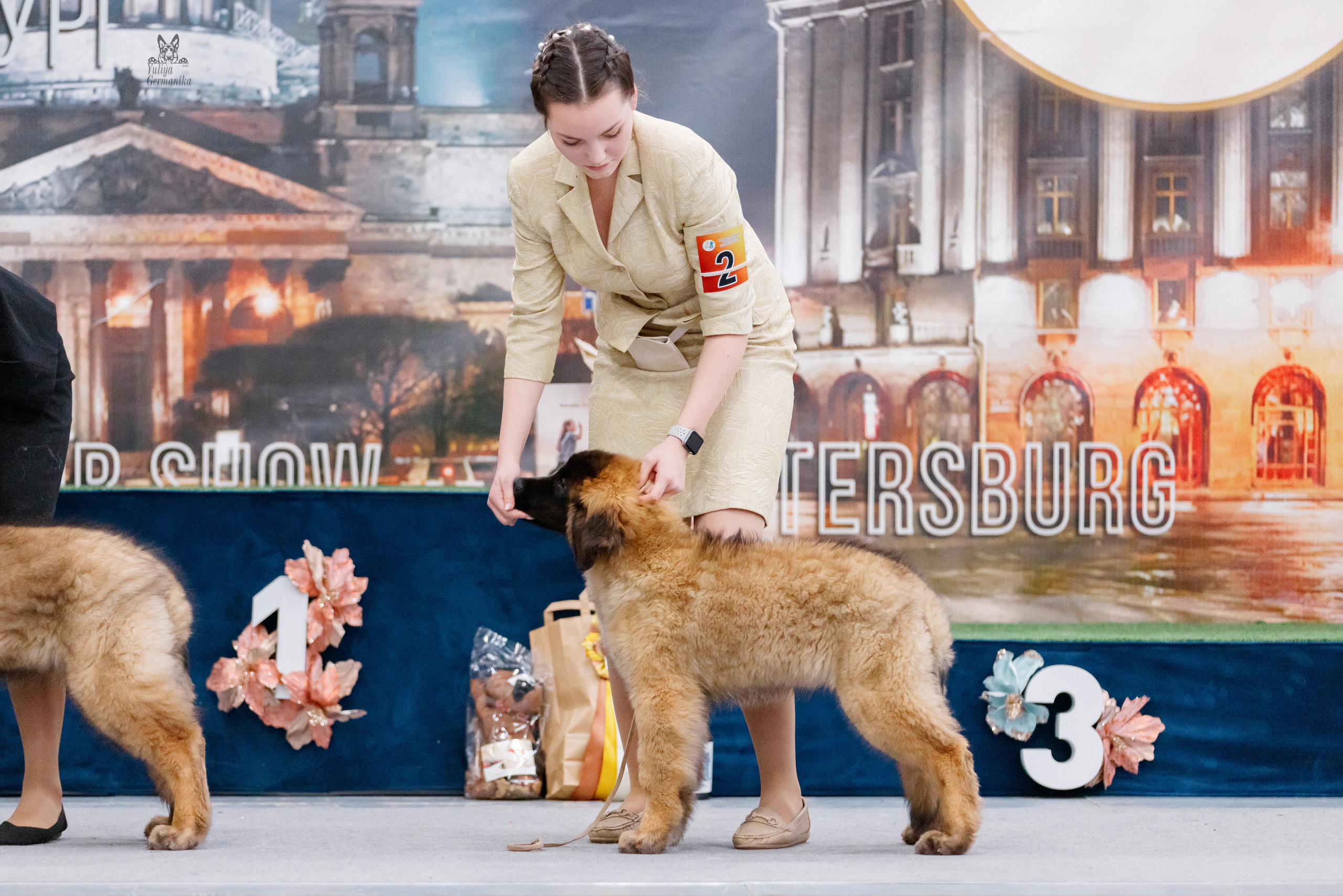 Питер 17-18.12.2022. Фотограф-анималист Юлия Германика