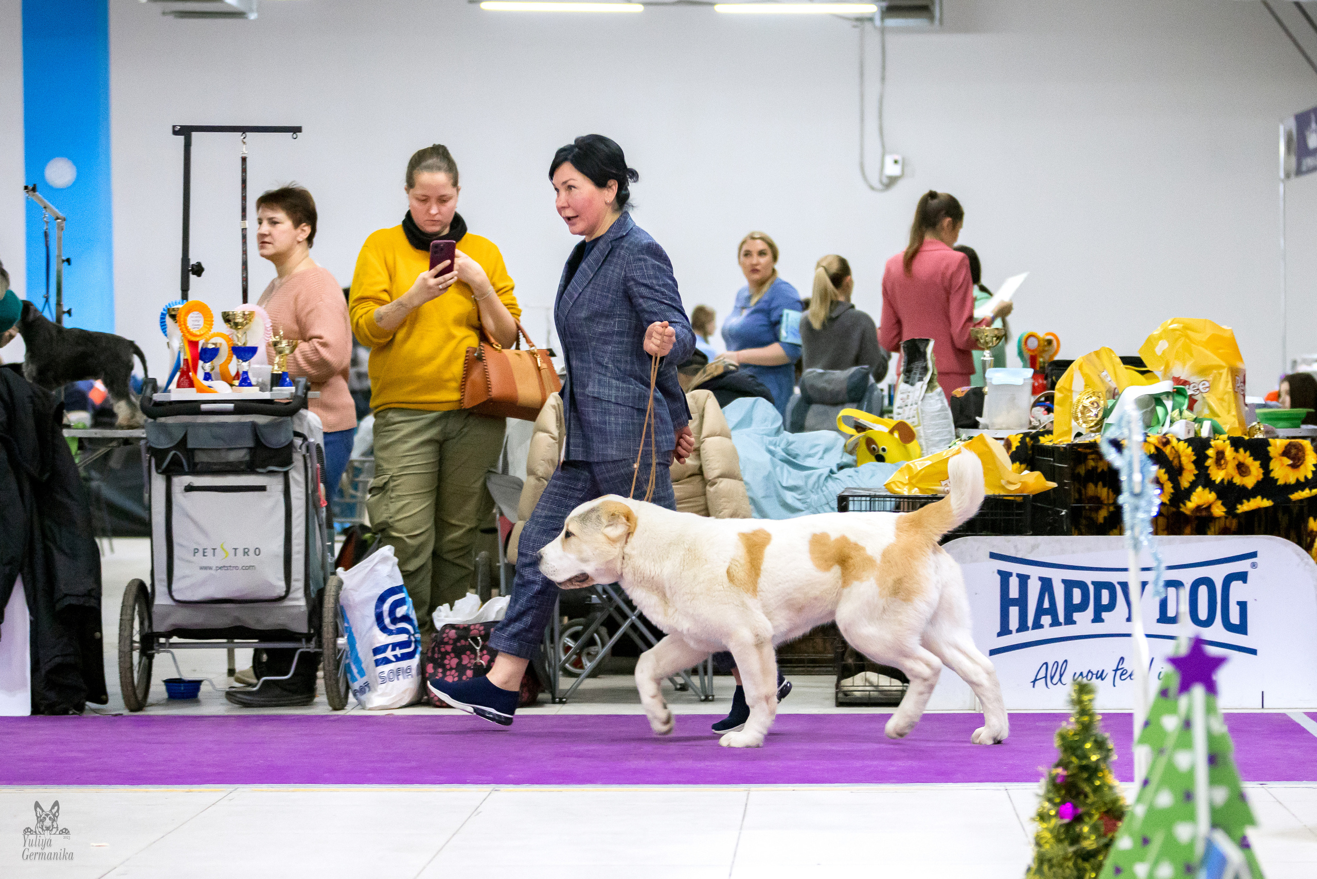 Чайна-Таун 5-8.01.2023. Фотограф-анималист Юлия Германика