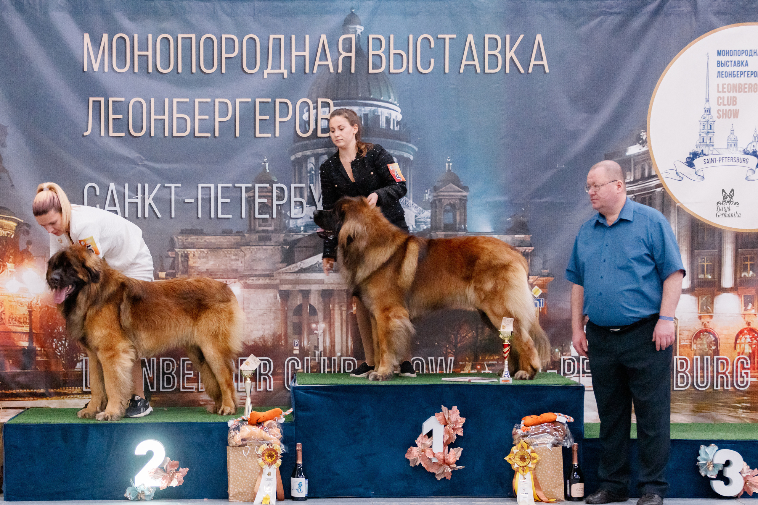 Питер 17-18.12.2022. Фотограф-анималист Юлия Германика