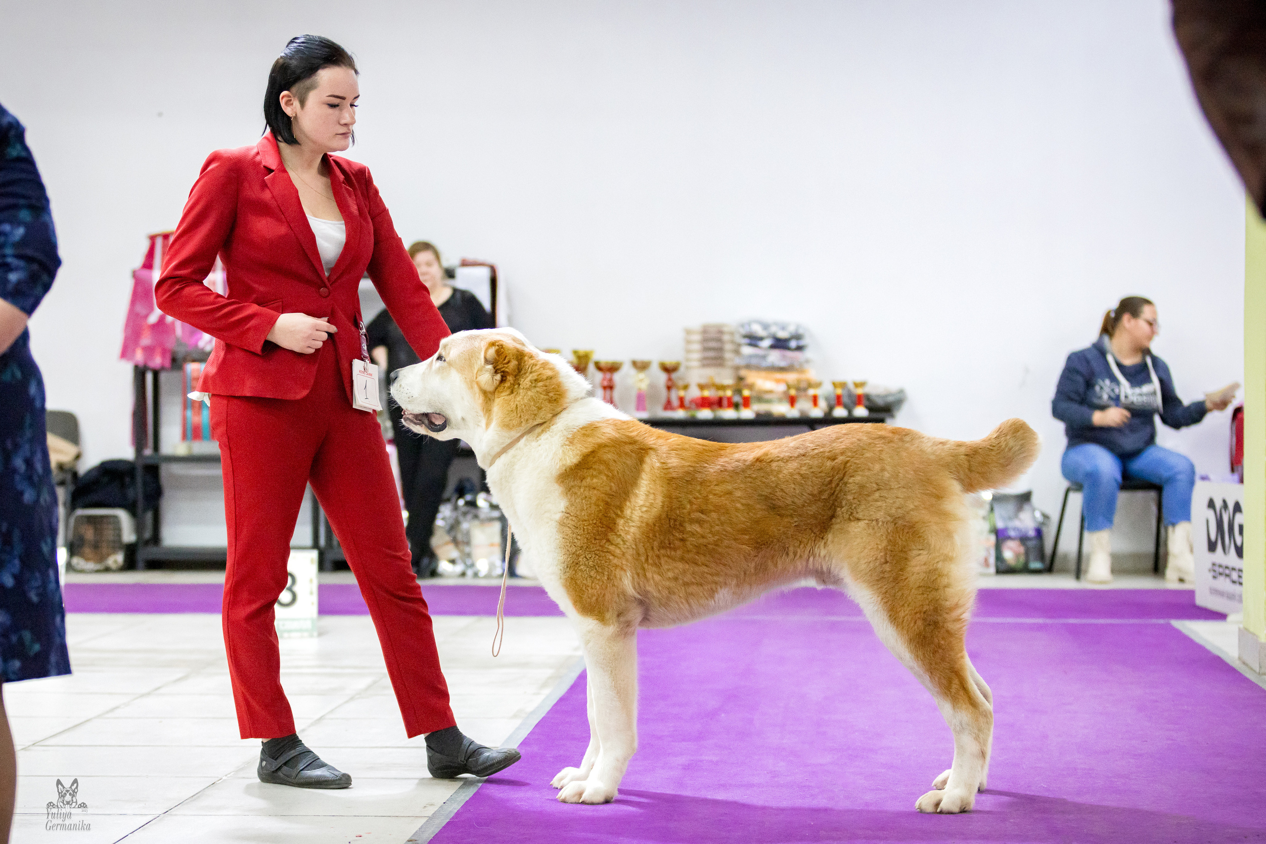 Чайна-Таун 5-8.01.2023. Фотограф-анималист Юлия Германика