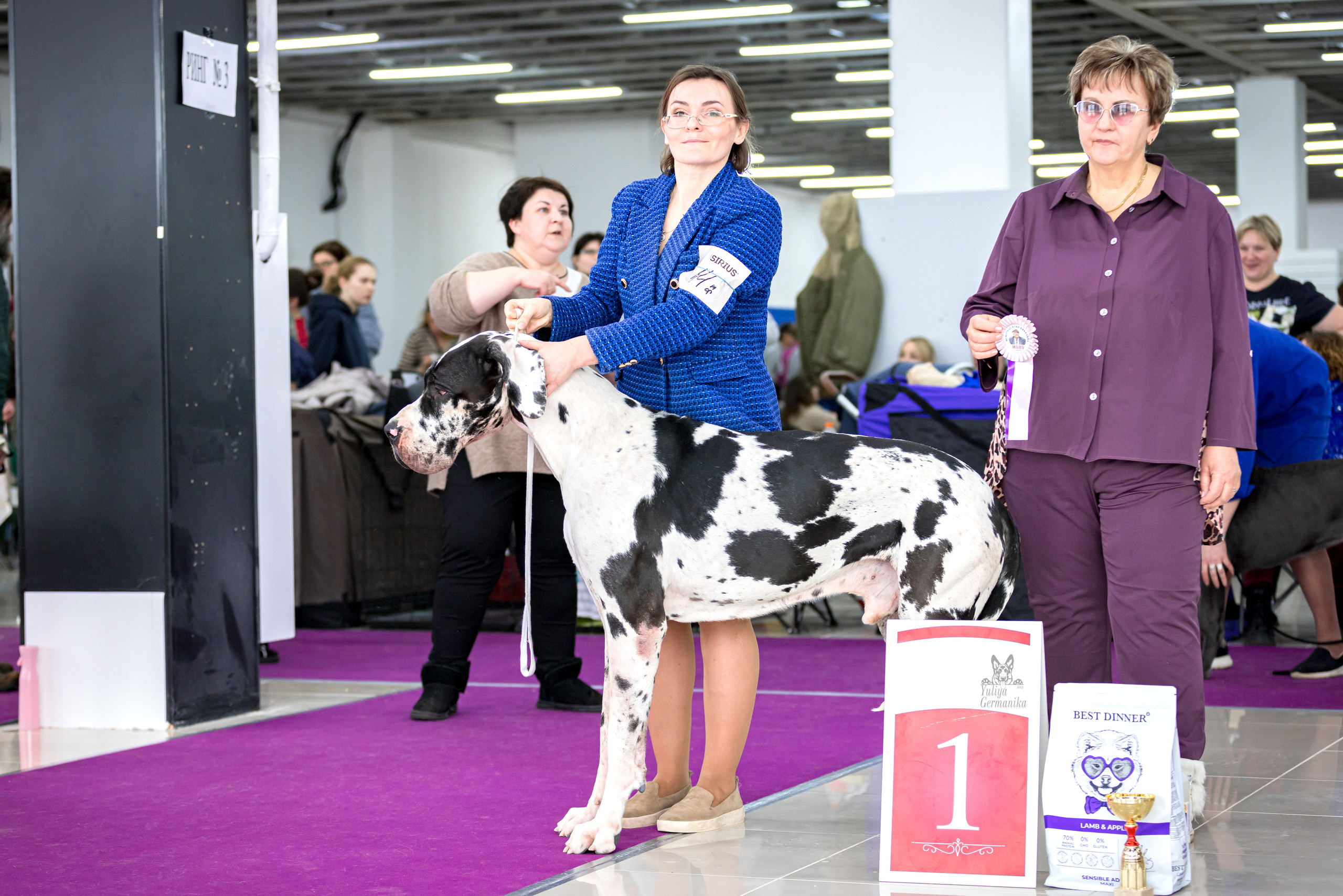 Можайский двор 11-12.02.2023. Фотограф-анималист Юлия Германика