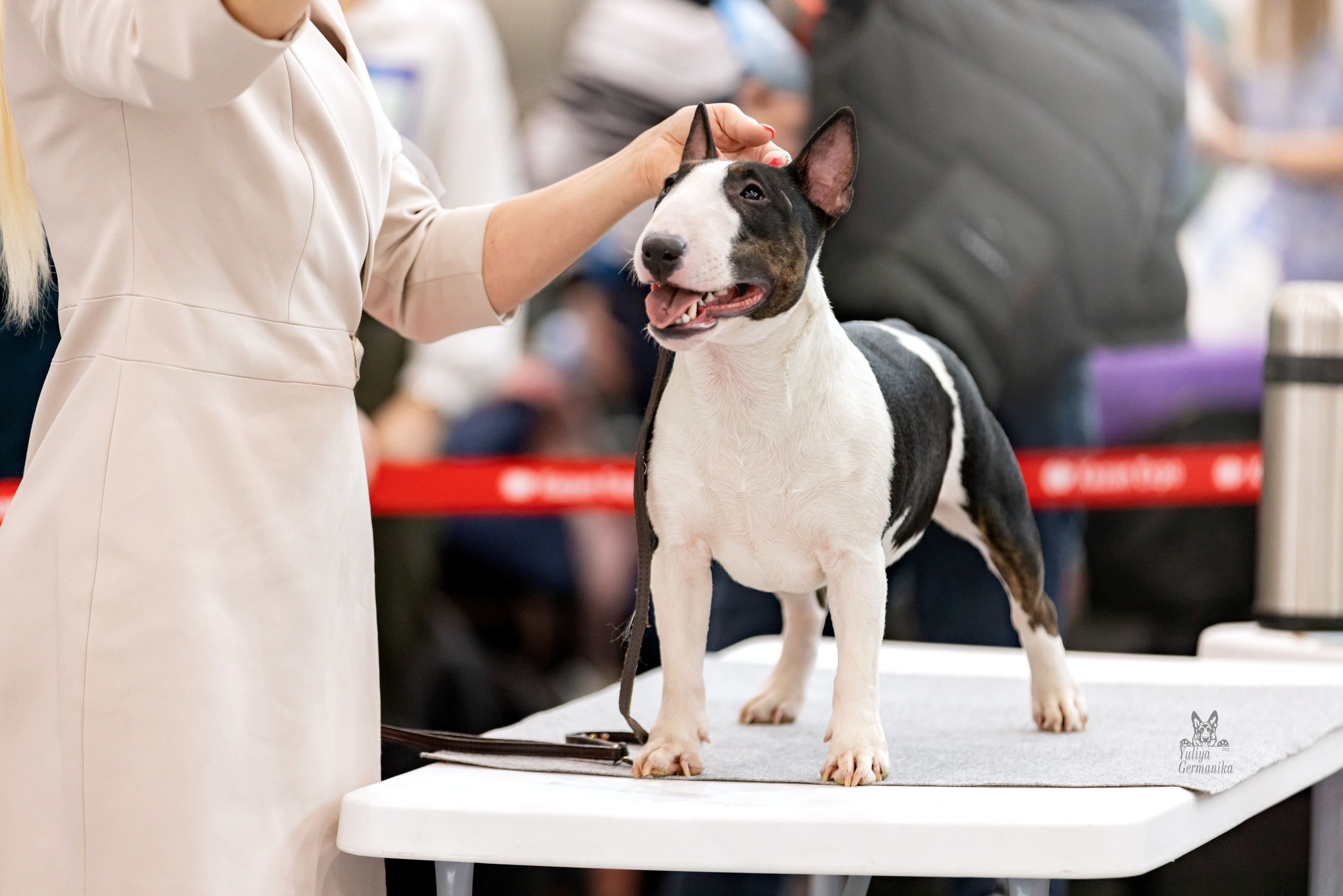 Сабанеевка,Казань 28-29.01.2023. Фотограф-анималист Юлия Германика