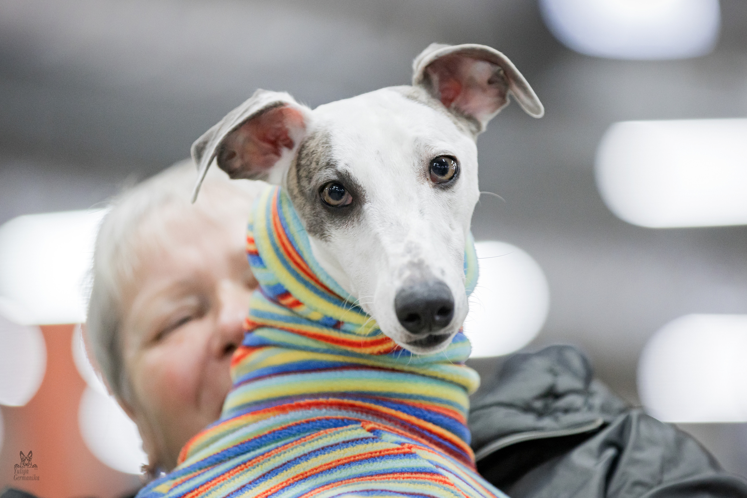 Чайна-Таун 5-8.01.2023. Фотограф-анималист Юлия Германика