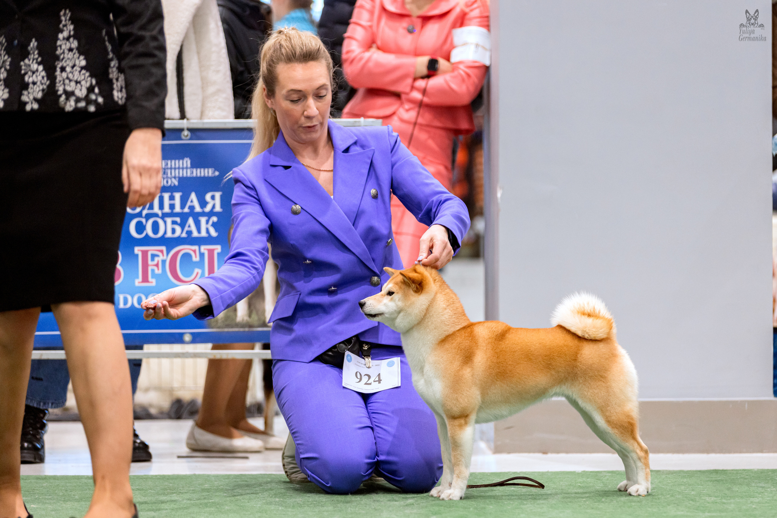 Минск 25-26.02.2023. Фотограф-анималист Юлия Германика