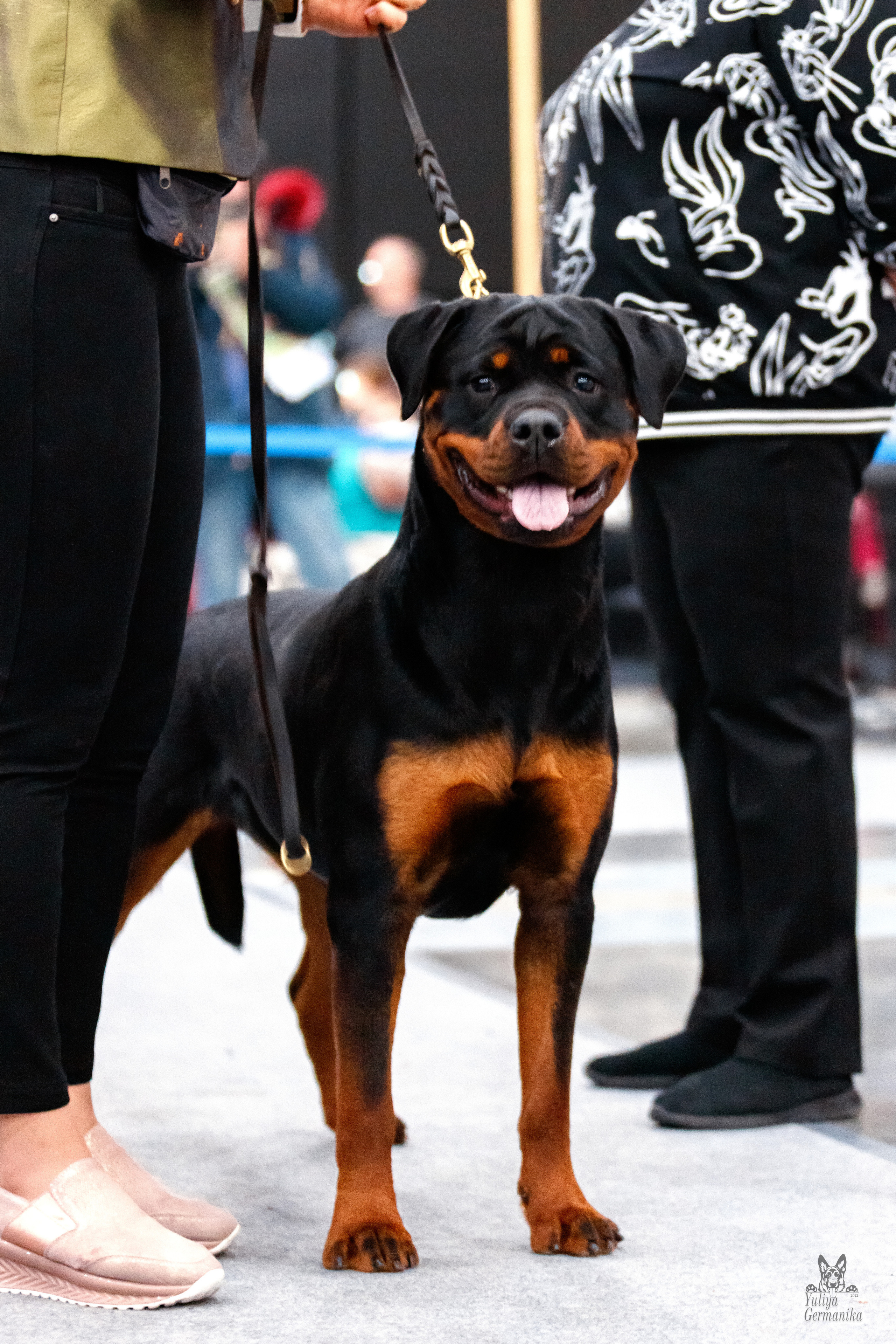 Питер 17-18.12.2022. Фотограф-анималист Юлия Германика