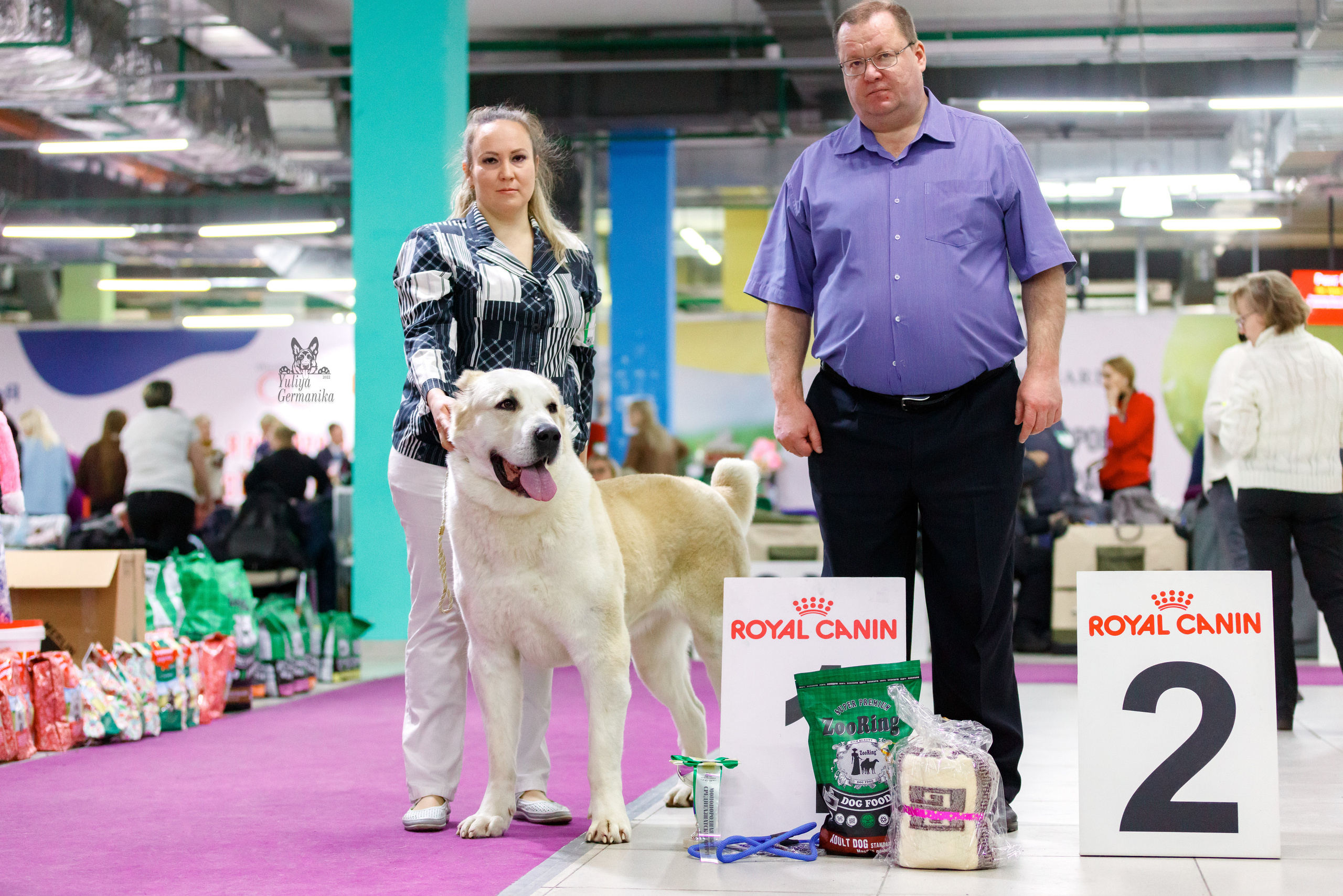 Чайна-Таун 3 и 10.12.2022. Фотограф-анималист Юлия Германика