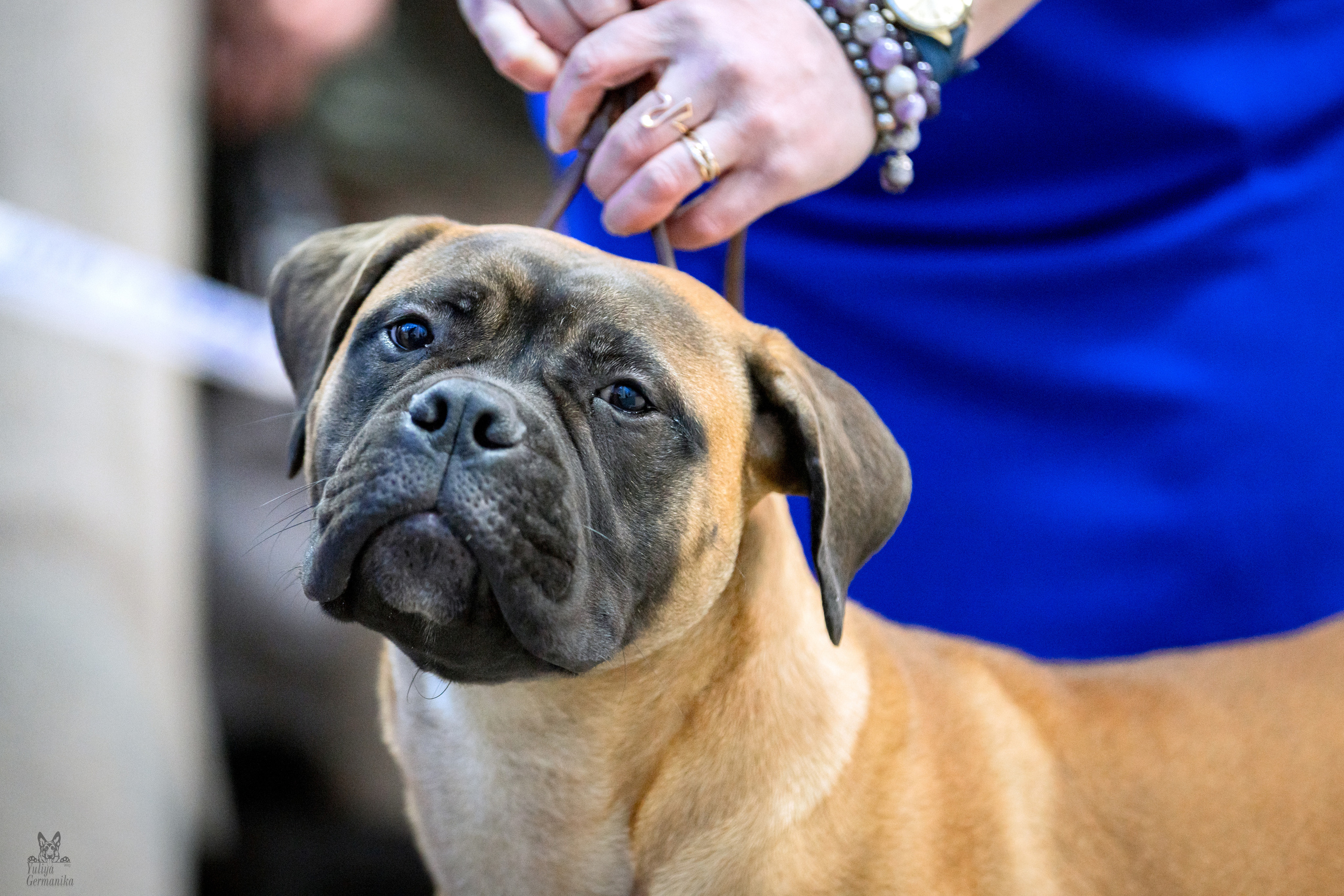 Тверь 19.02.2023. Фотограф-анималист Юлия Германика