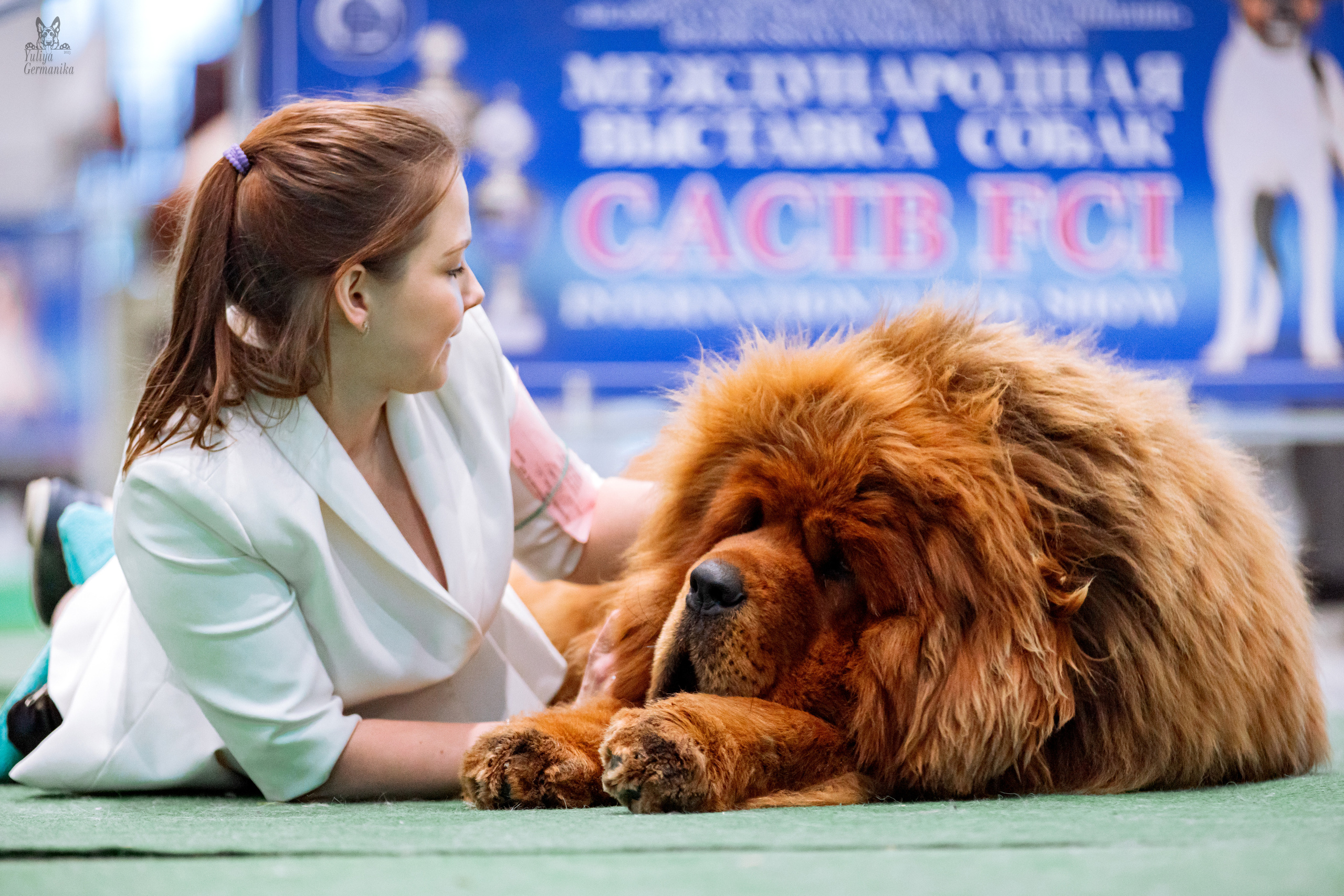 Минск 25-26.02.2023. Фотограф-анималист Юлия Германика