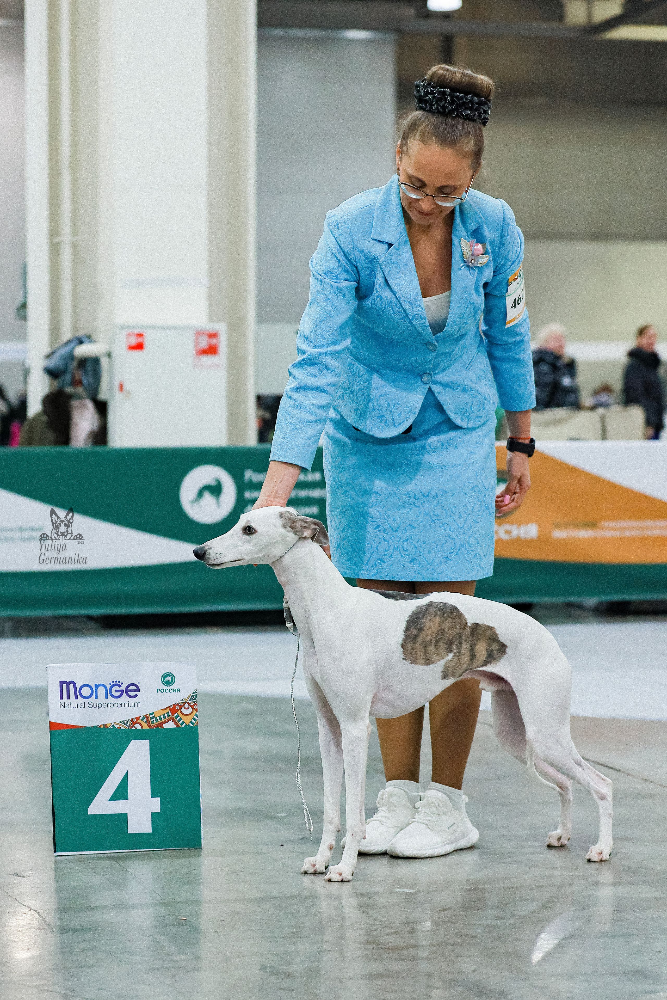 Россия 2020-2022 26-27.11.2022. Фотограф-анималист Юлия Германика