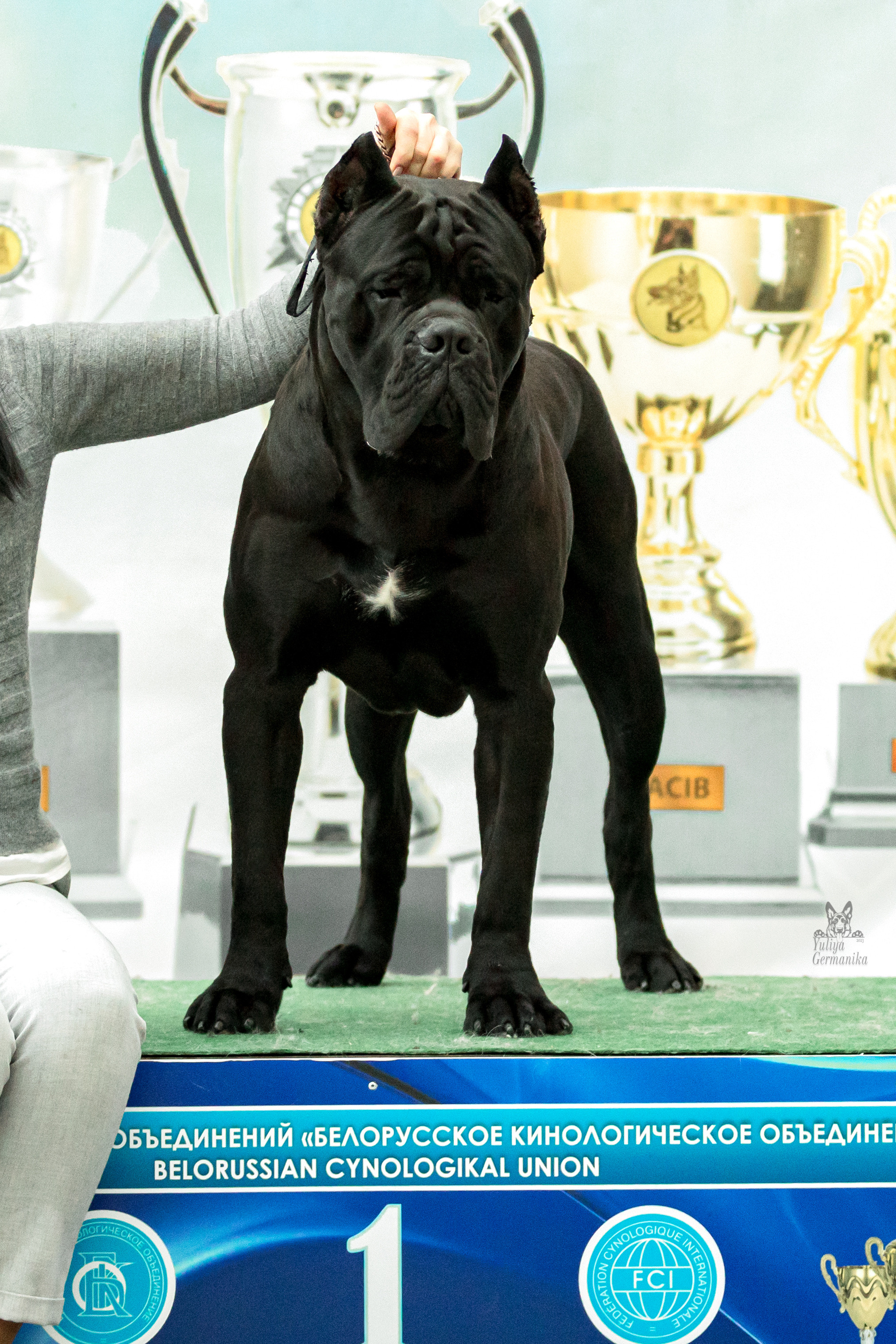 Минск 25-26.02.2023. Фотограф-анималист Юлия Германика