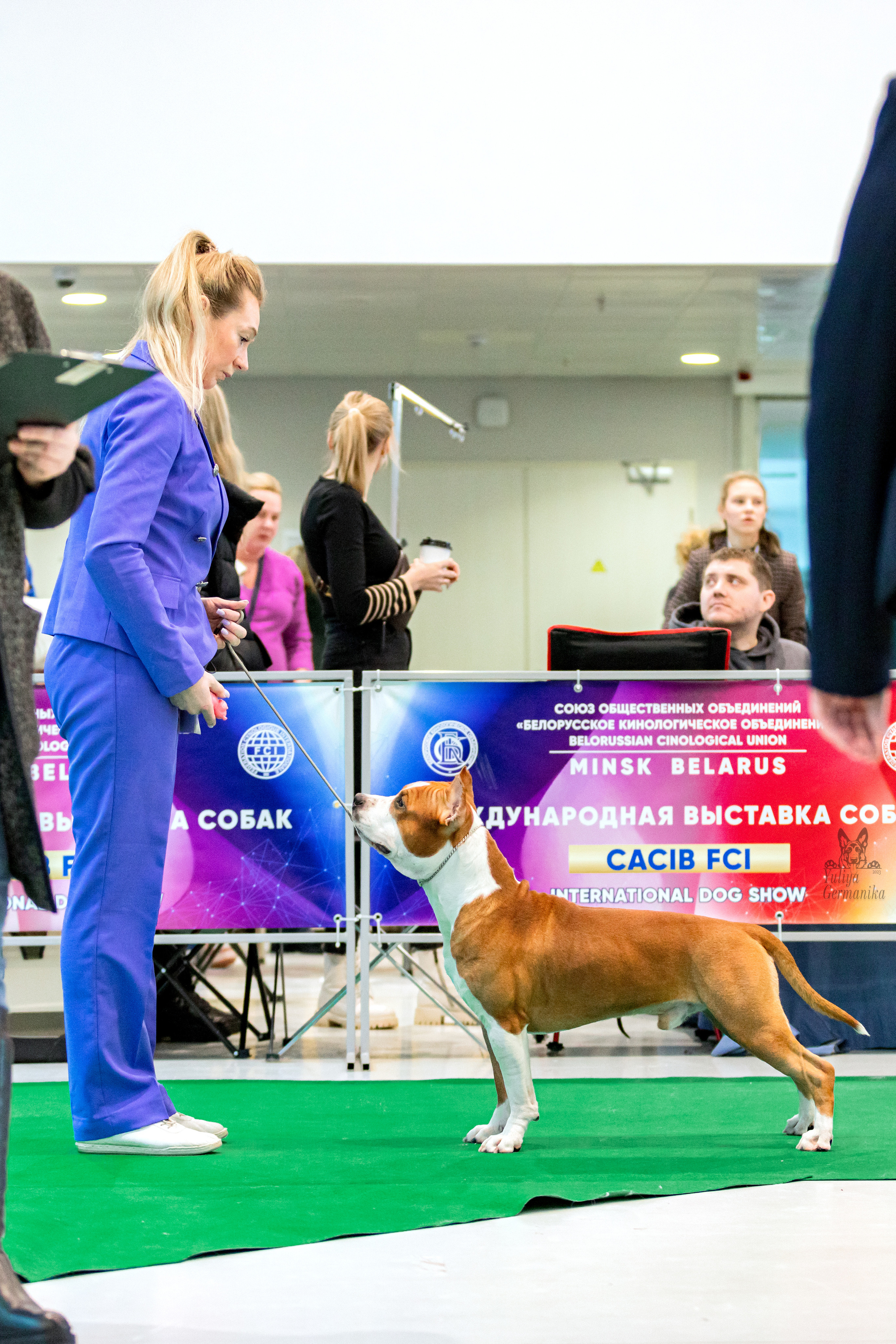 Минск 25-26.02.2023. Фотограф-анималист Юлия Германика