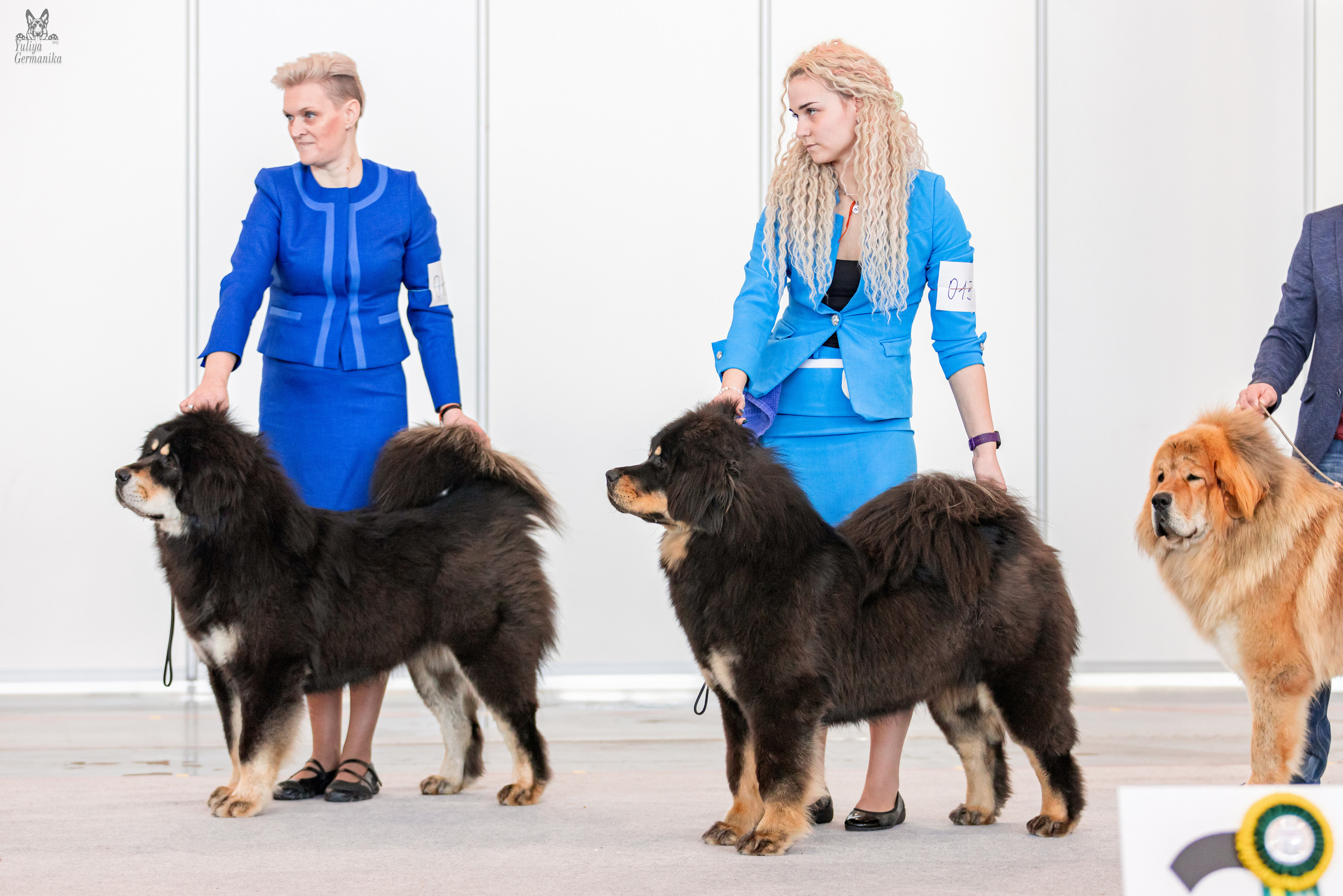 Казань 11.03.2023. Фотограф-анималист Юлия Германика