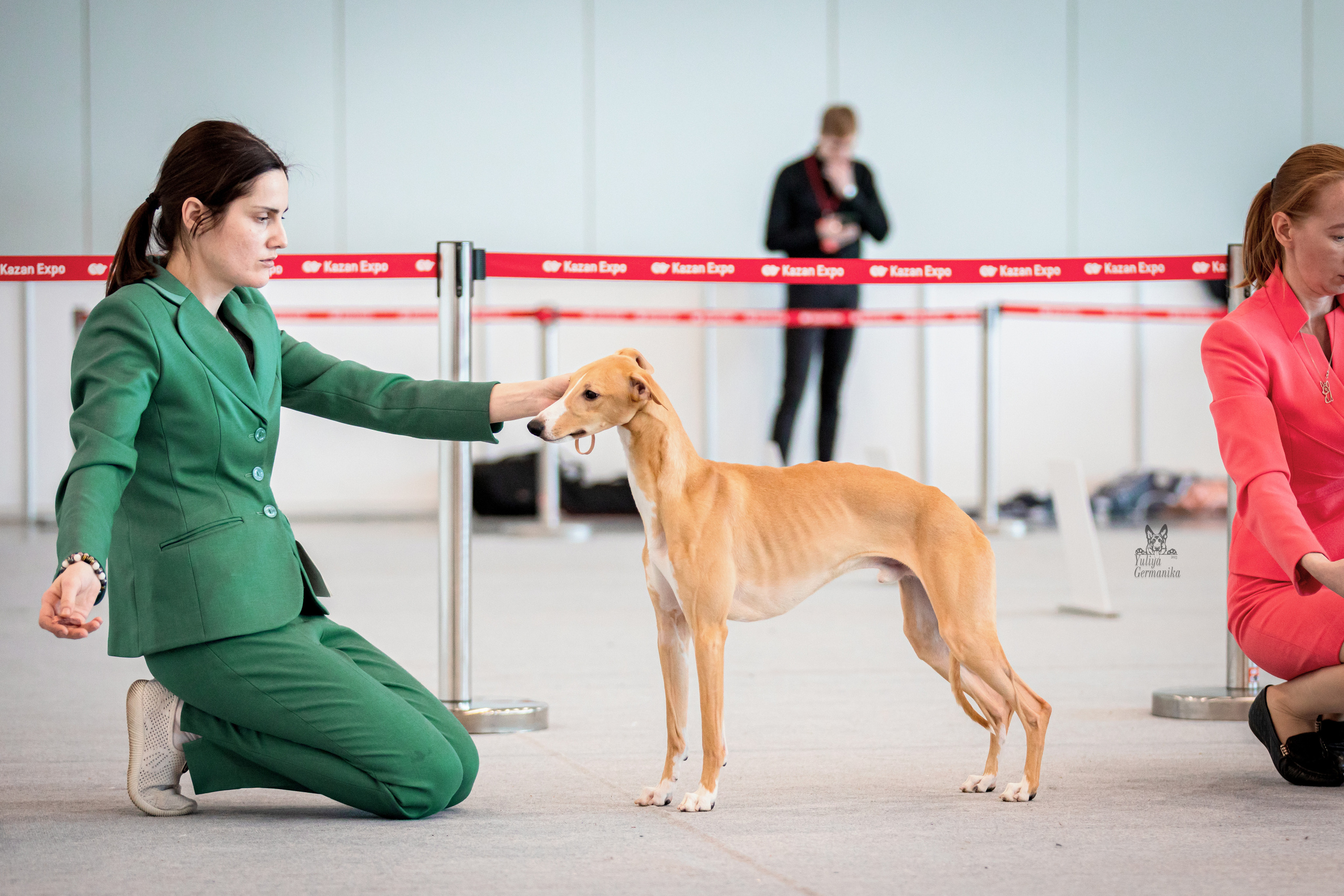 Казань 11.03.2023. Фотограф-анималист Юлия Германика