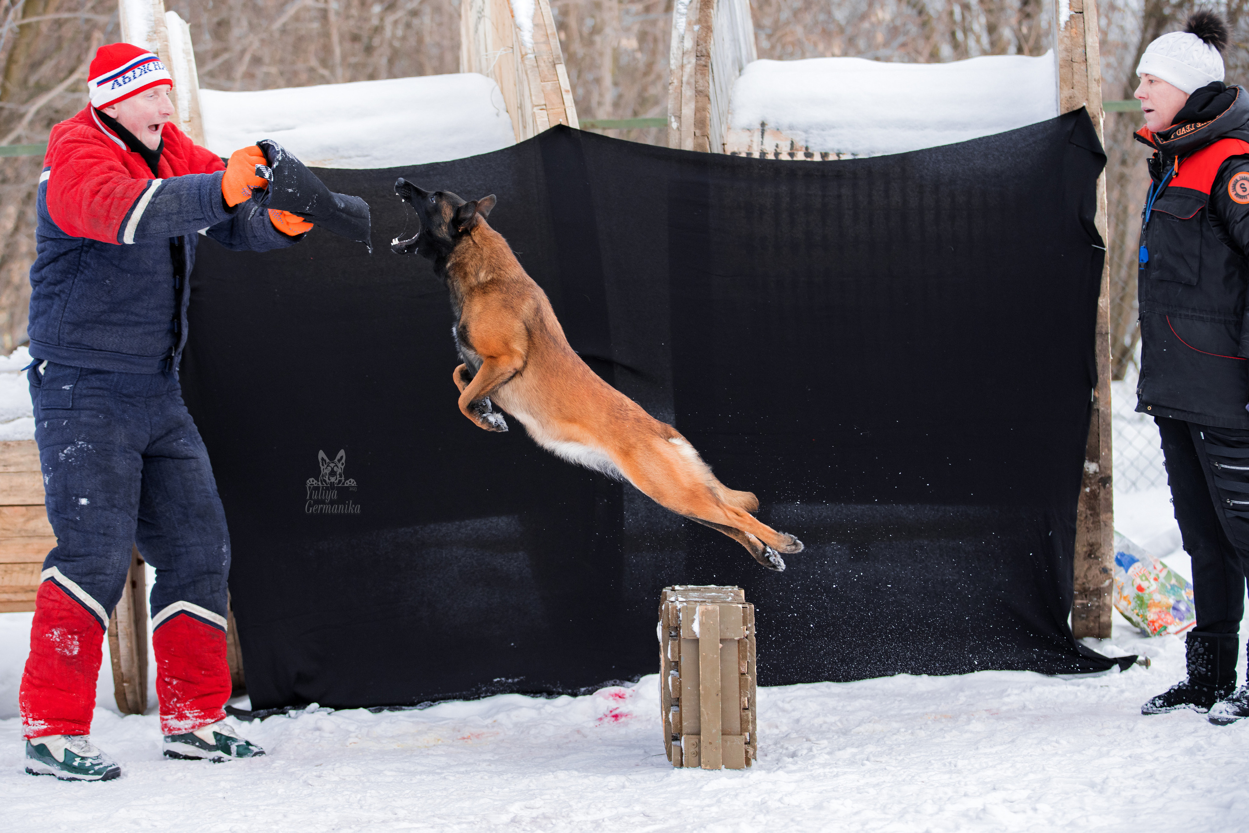 Свободная съемка. Фотограф-анималист Юлия Германика