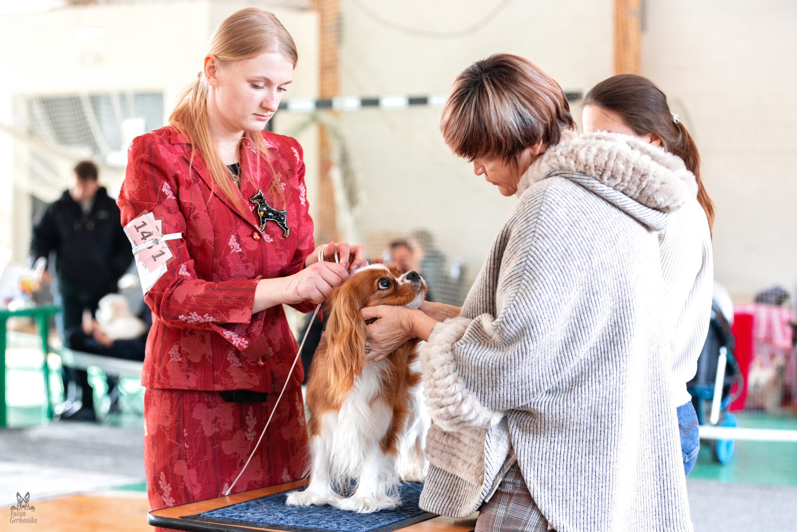 Тверь 19.03.2023. Фотограф-анималист Юлия Германика