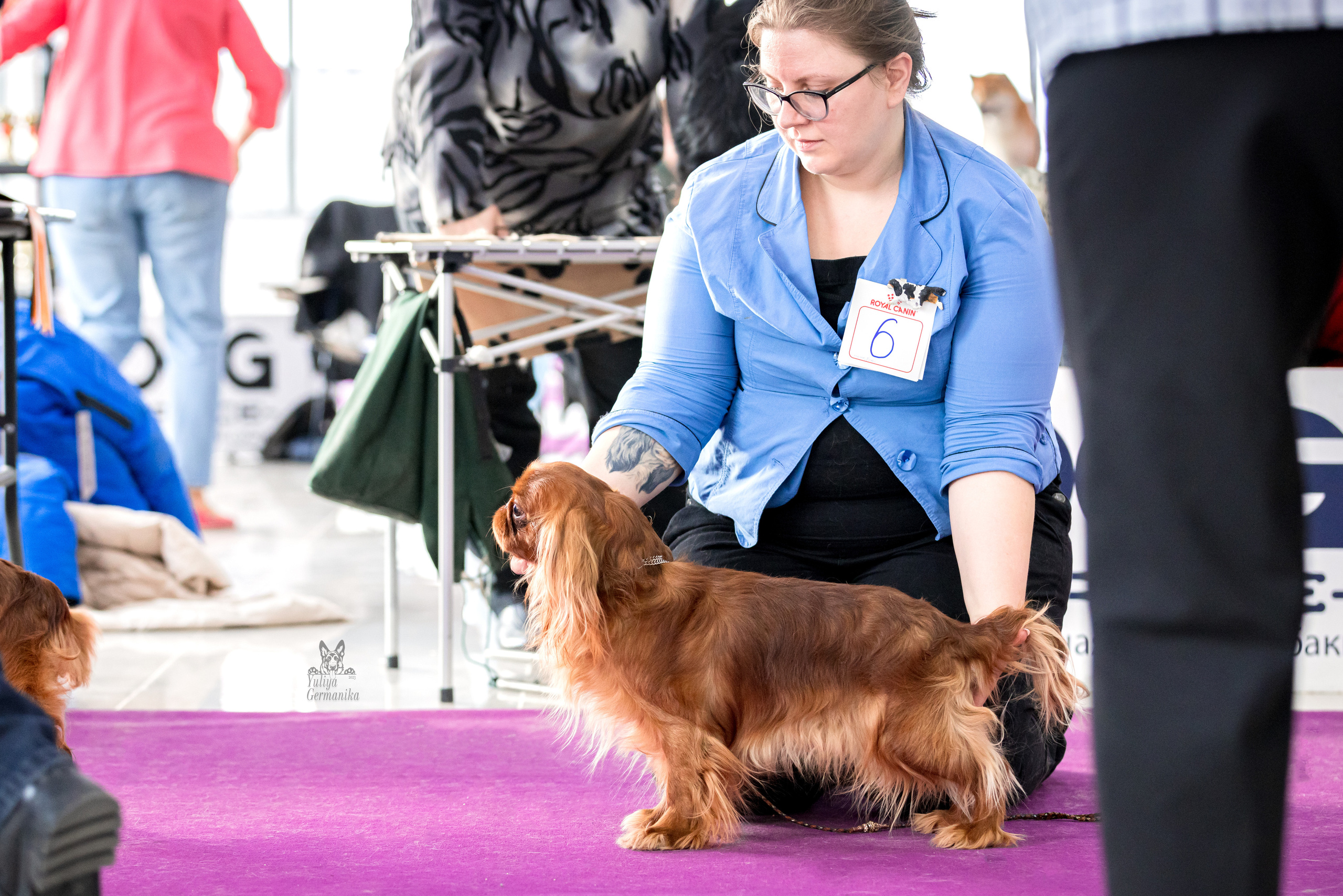 Можайский двор 11-12.02.2023. Фотограф-анималист Юлия Германика