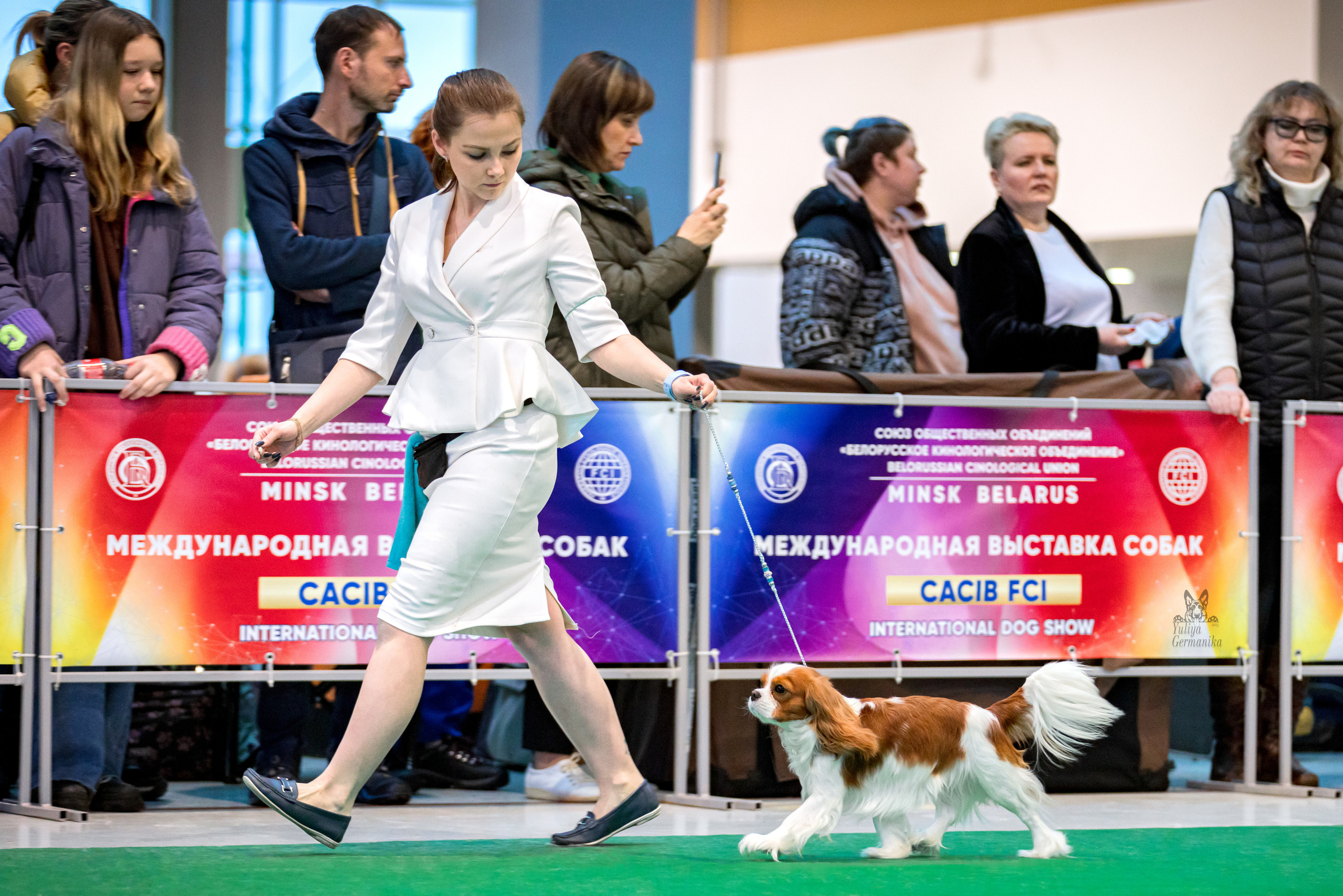 Минск 25-26.02.2023. Фотограф-анималист Юлия Германика