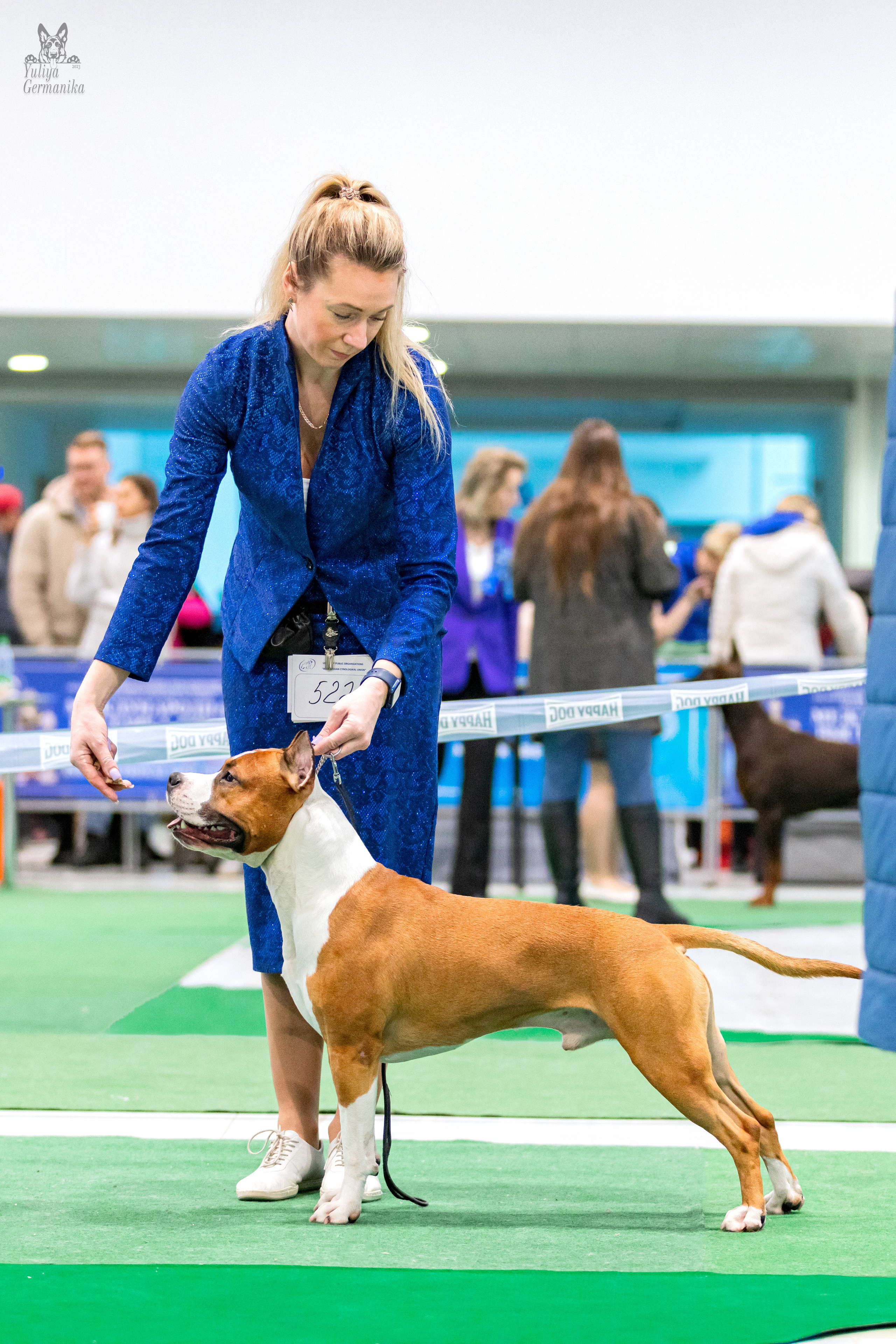 Минск 25-26.02.2023. Фотограф-анималист Юлия Германика