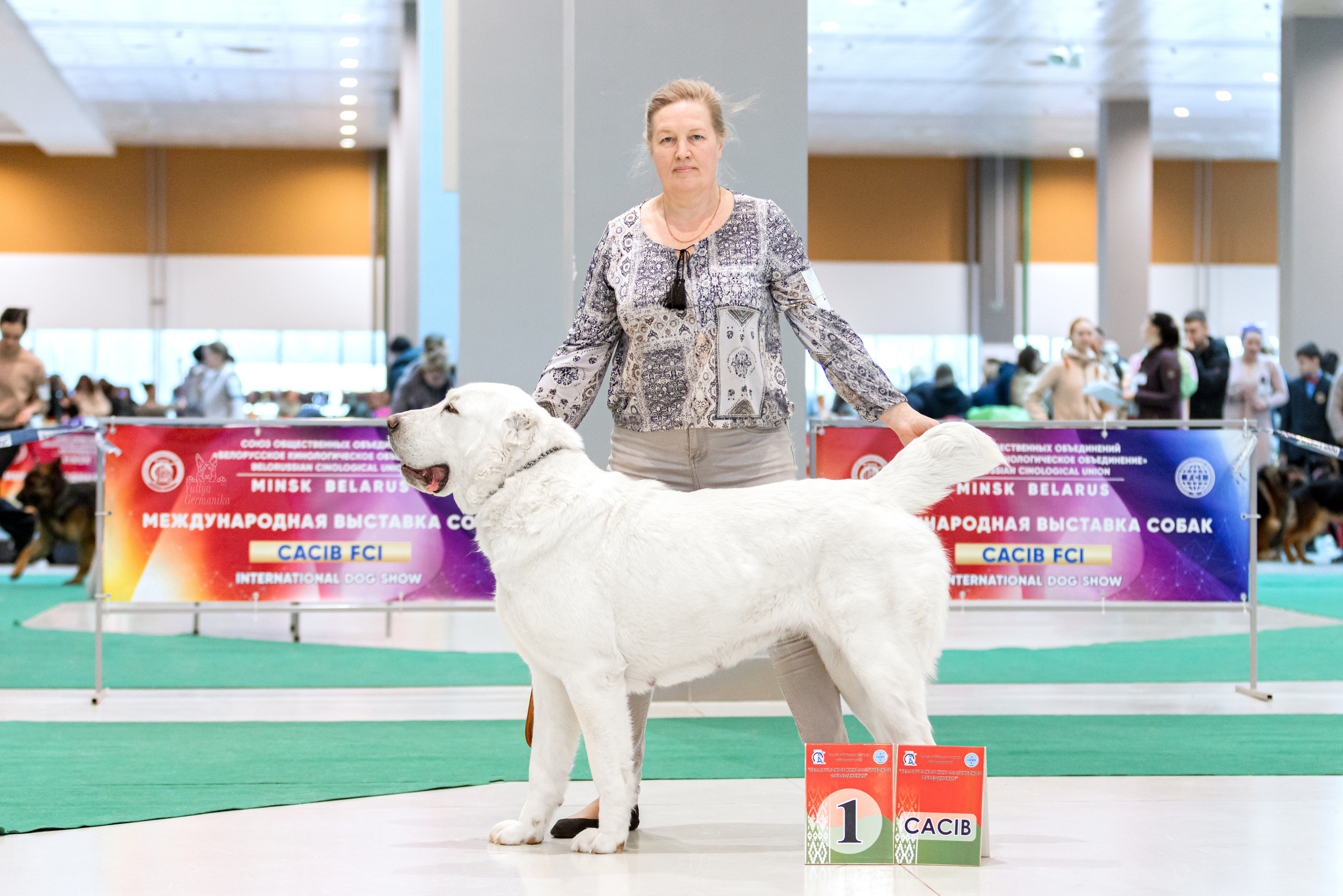 Минск 25-26.02.2023. Фотограф-анималист Юлия Германика