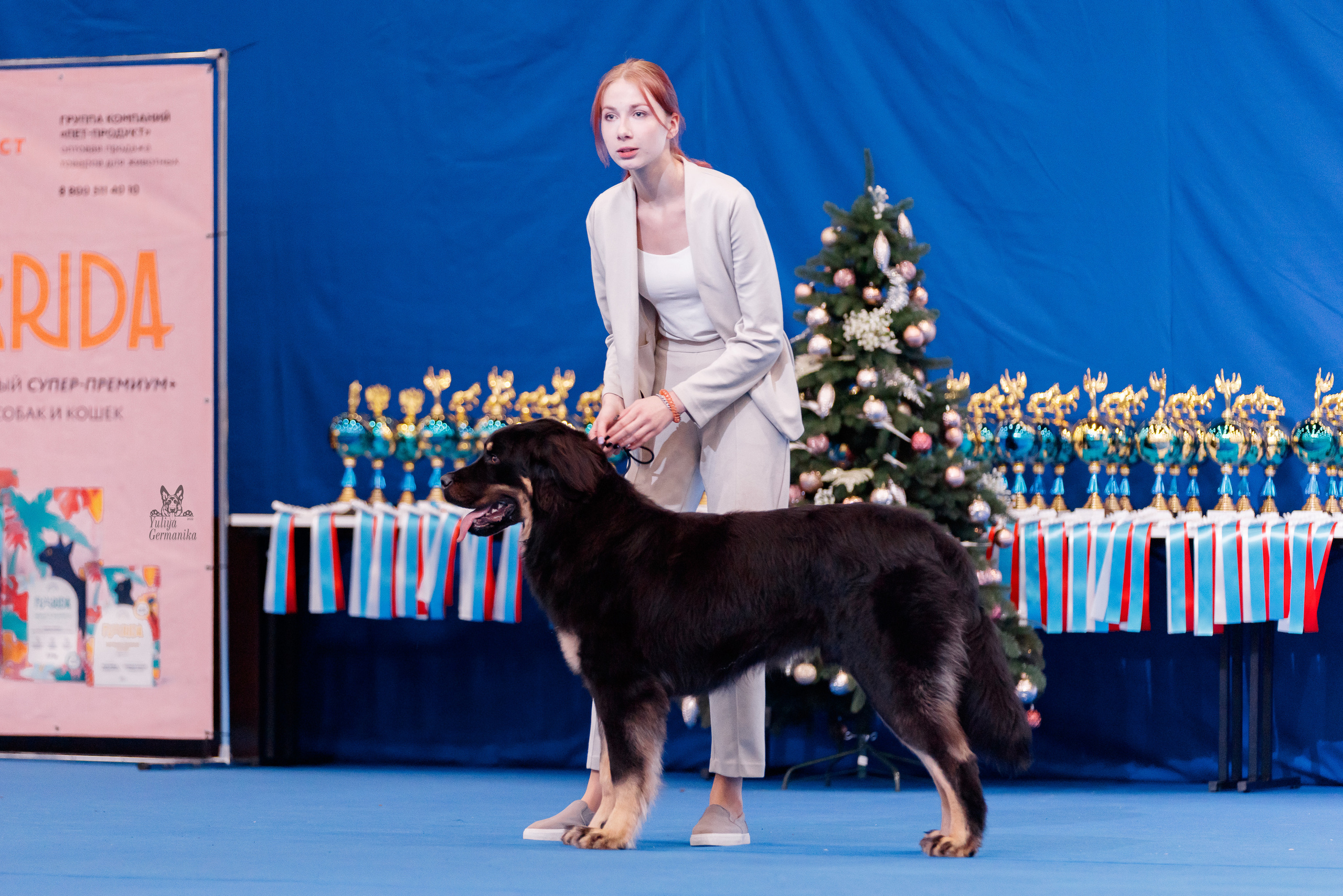 Питер 17-18.12.2022. Фотограф-анималист Юлия Германика