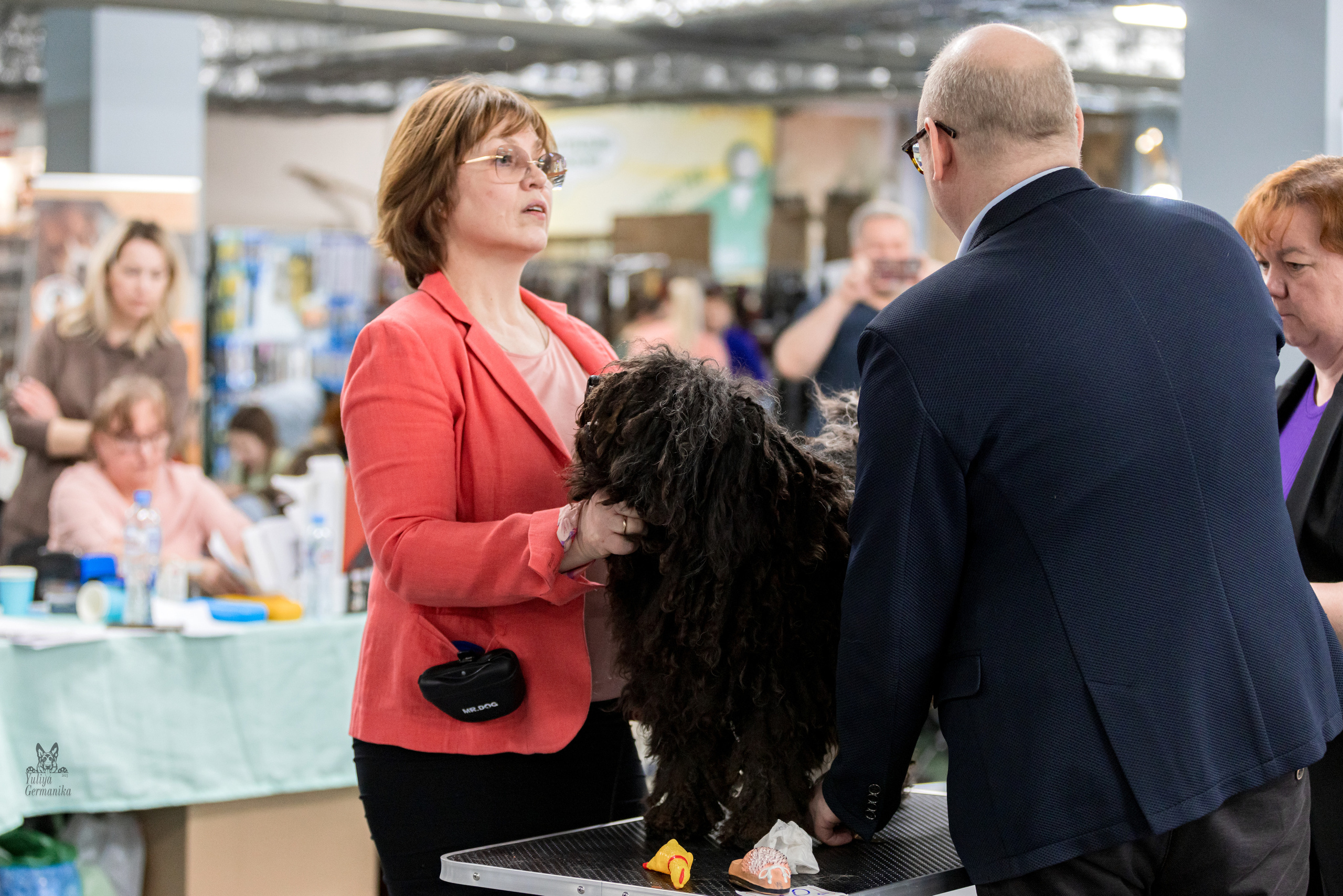 Сфера 5.03.2023. Фотограф-анималист Юлия Германика