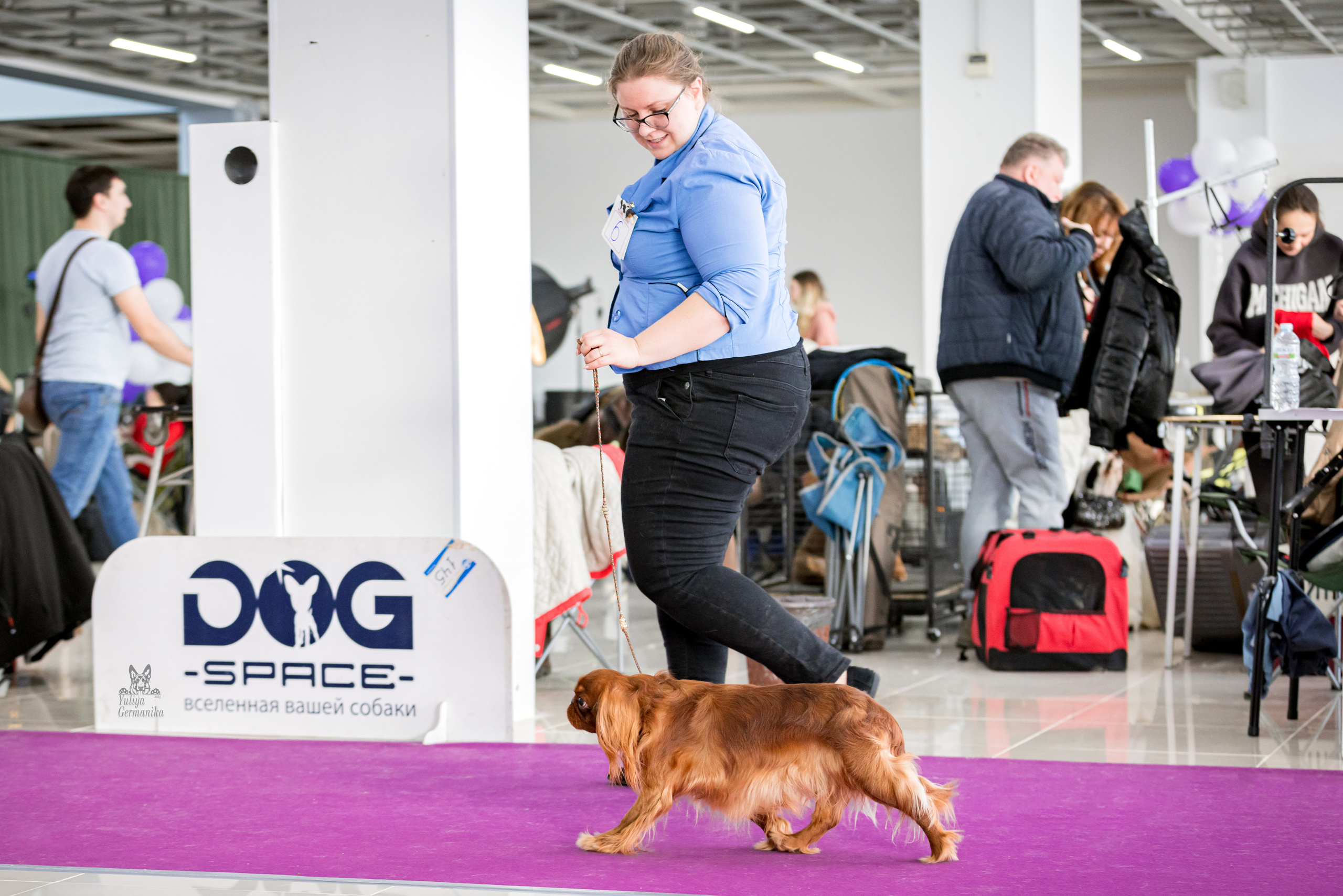 Можайский двор 11-12.02.2023. Фотограф-анималист Юлия Германика