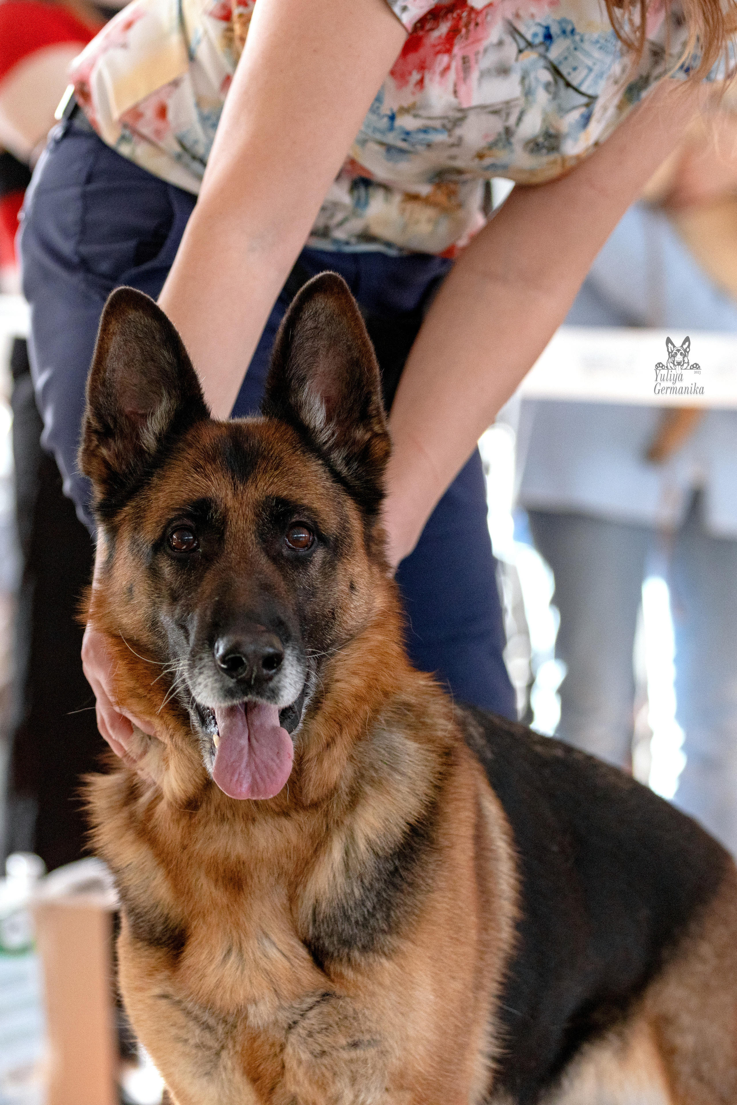 Тверь 19.03.2023. Фотограф-анималист Юлия Германика