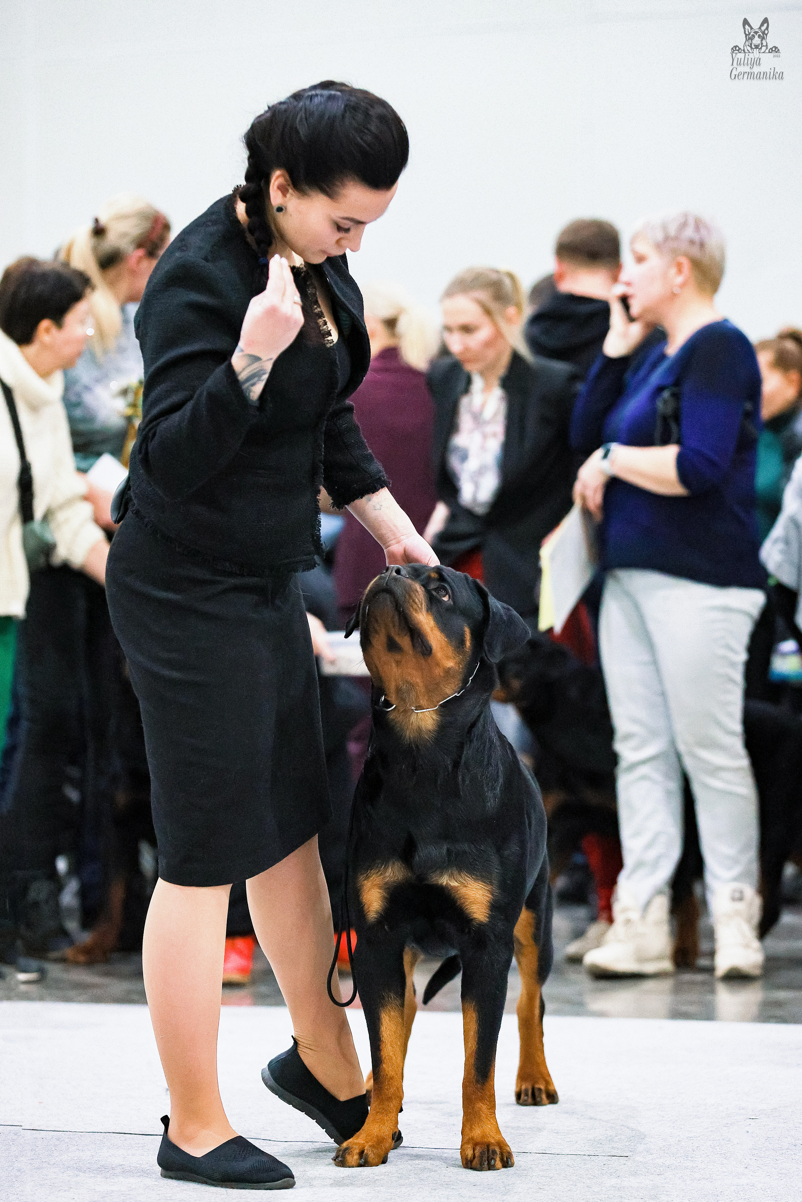 Россия 2020-2022 26-27.11.2022. Фотограф-анималист Юлия Германика