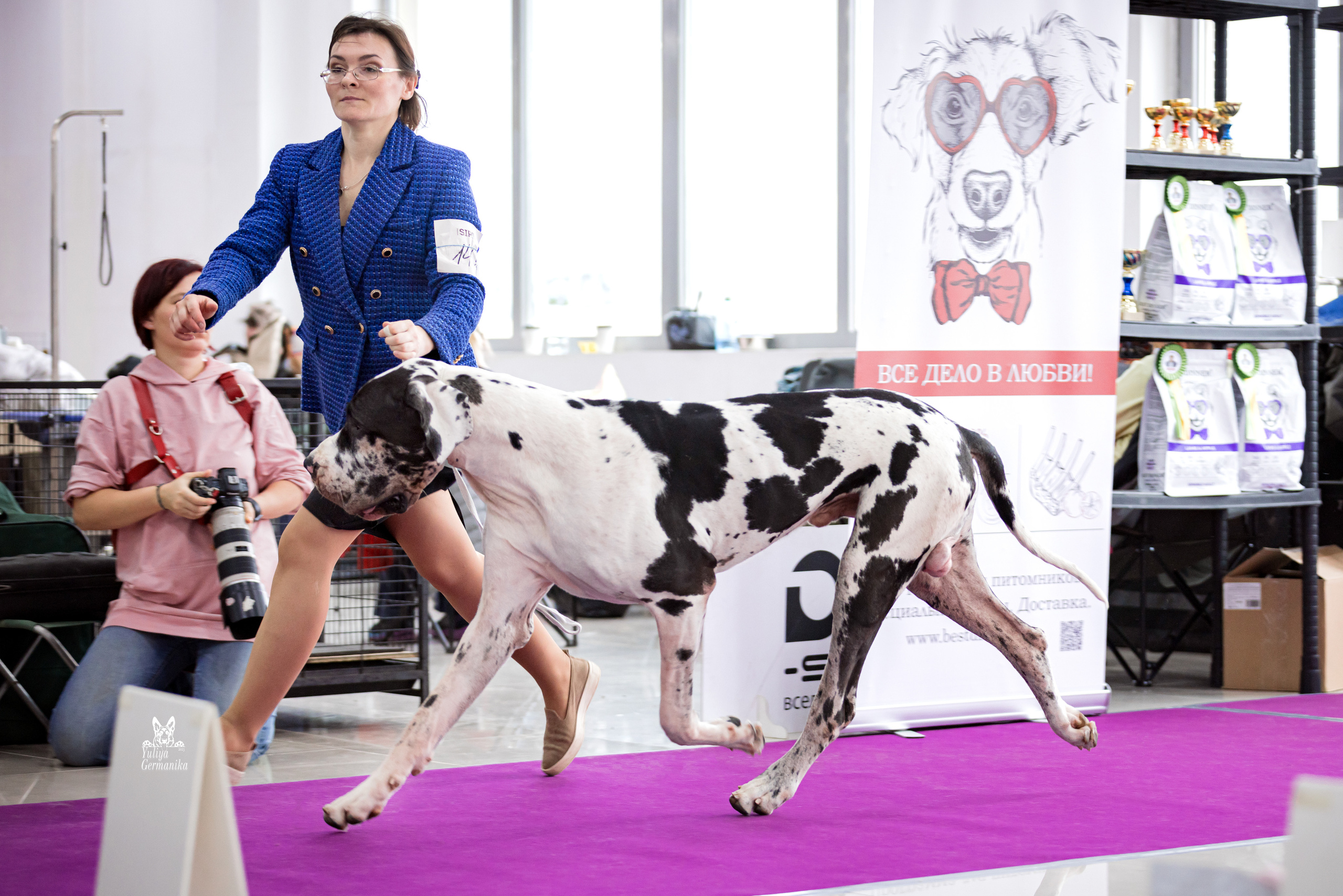 Можайский двор 11-12.02.2023. Фотограф-анималист Юлия Германика