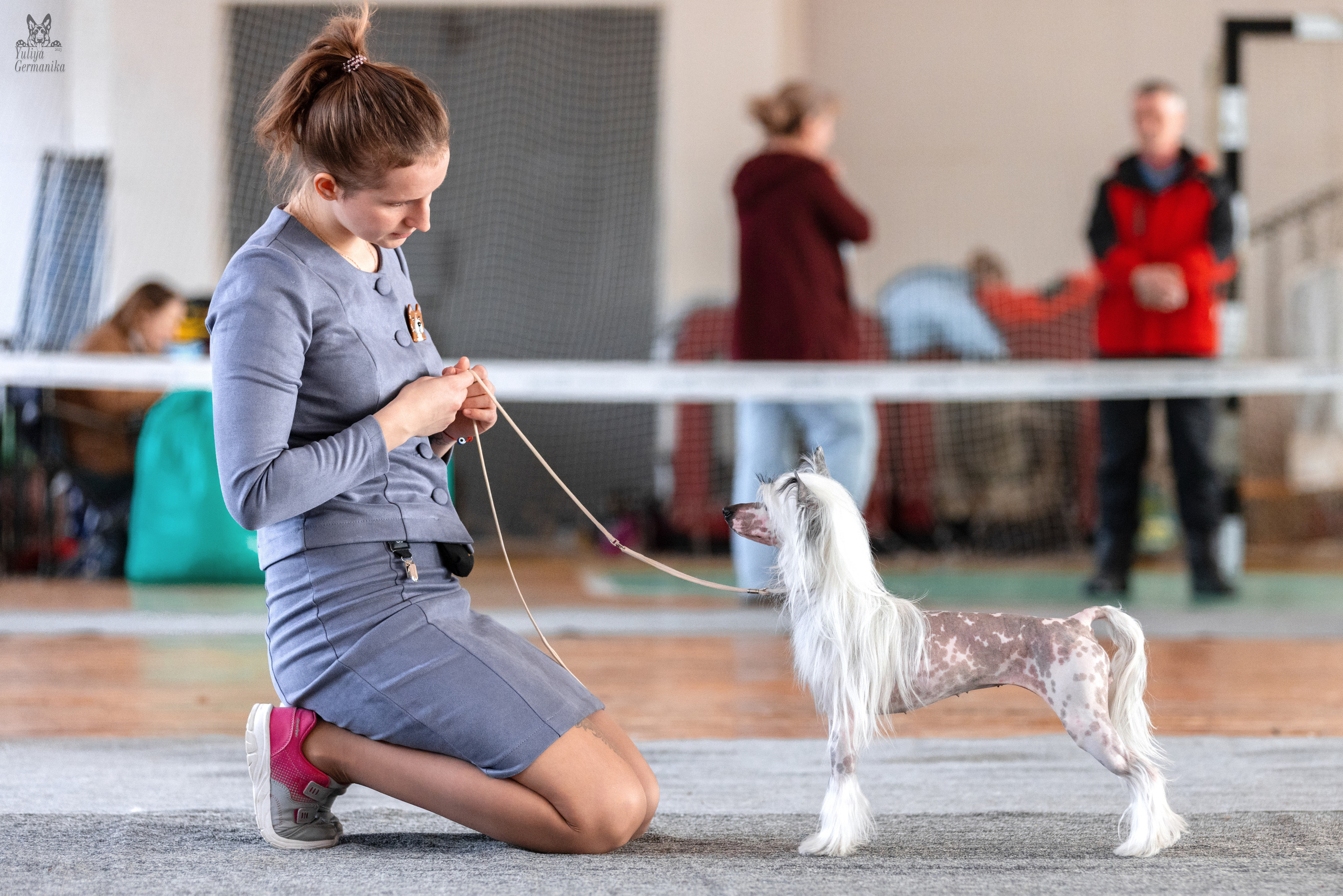 Тверь 19.03.2023. Фотограф-анималист Юлия Германика