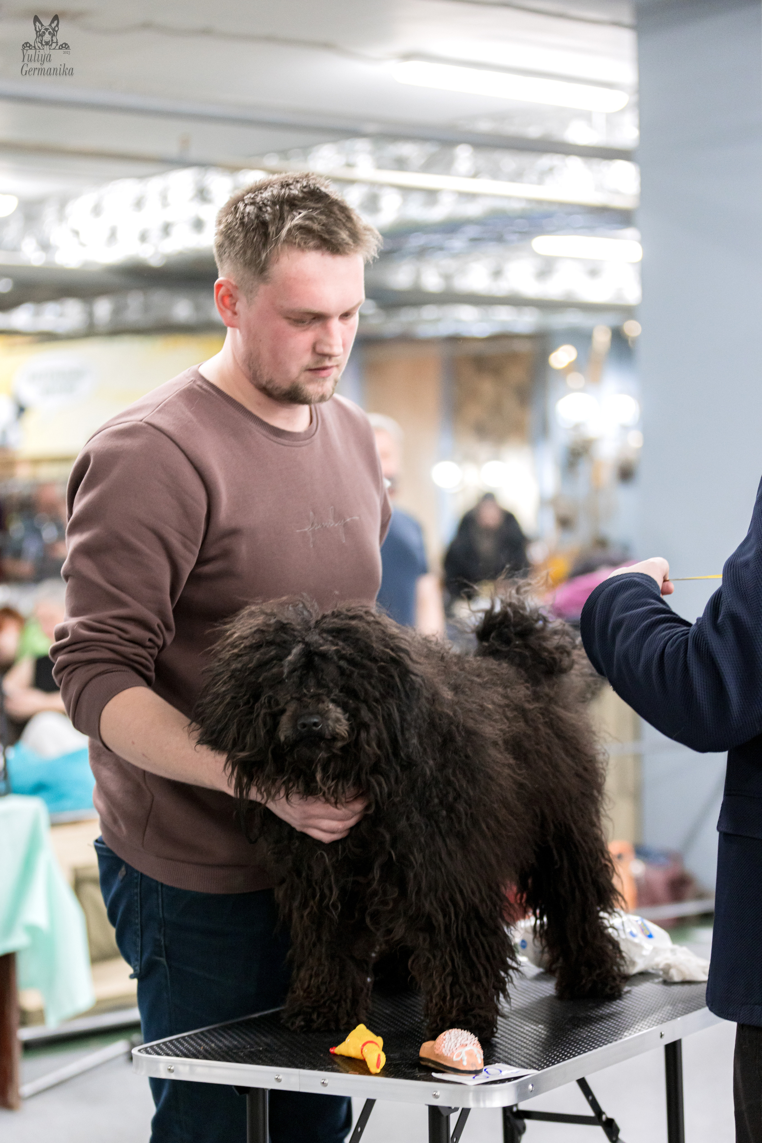 Сфера 5.03.2023. Фотограф-анималист Юлия Германика