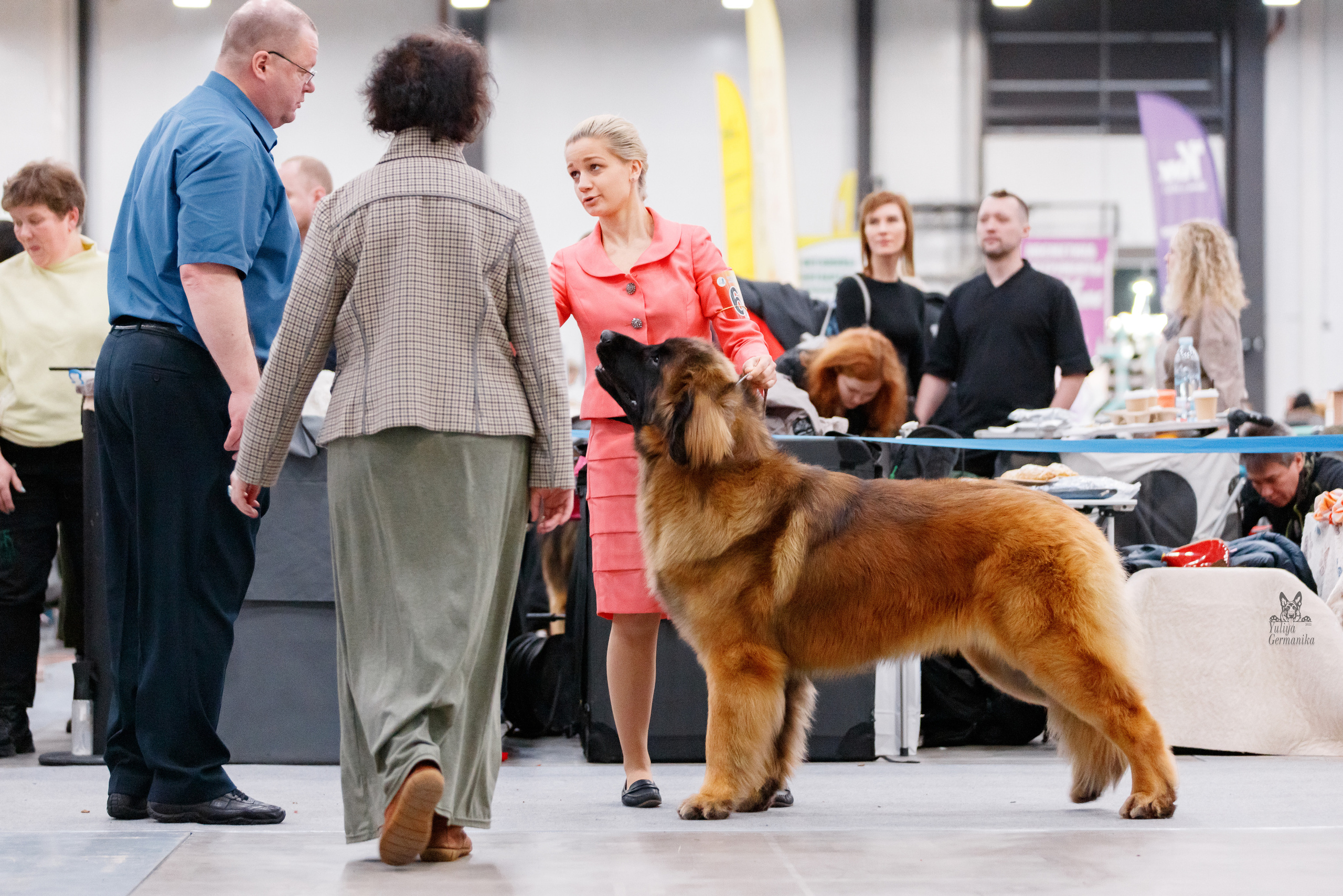 Питер 17-18.12.2022. Фотограф-анималист Юлия Германика