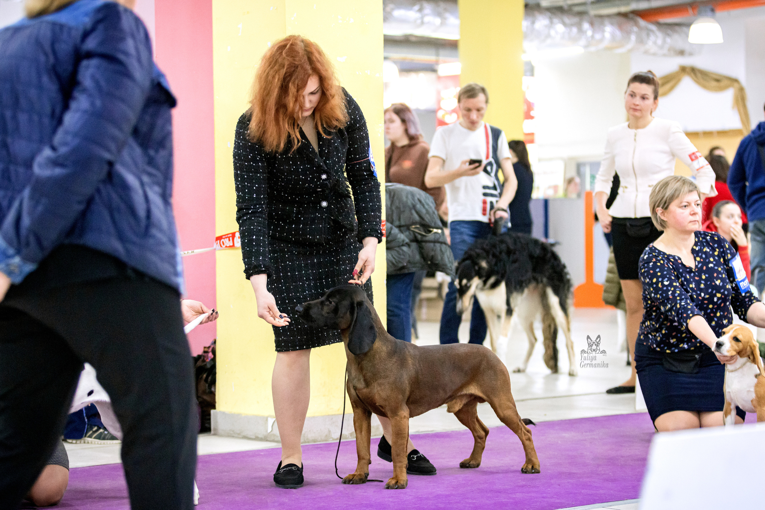 Чайна-Таун 15,21 и 22.01.2023. Фотограф-анималист Юлия Германика