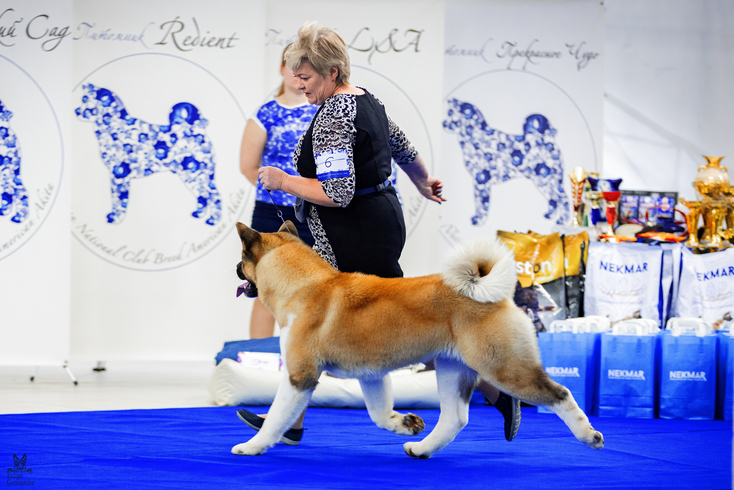 Чайна-Таун 24-25.12.2022. Фотограф-анималист Юлия Германика