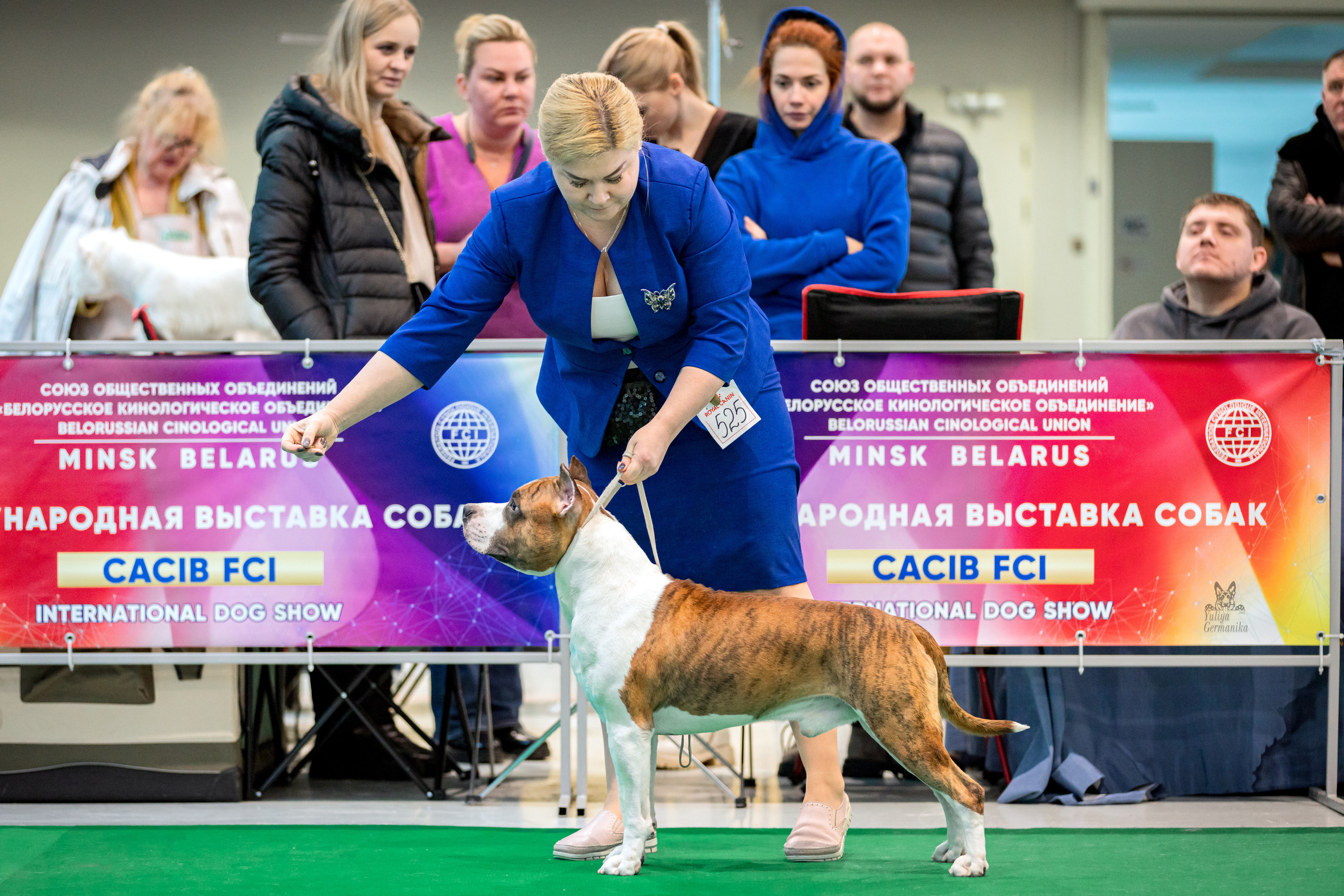 Минск 25-26.02.2023. Фотограф-анималист Юлия Германика