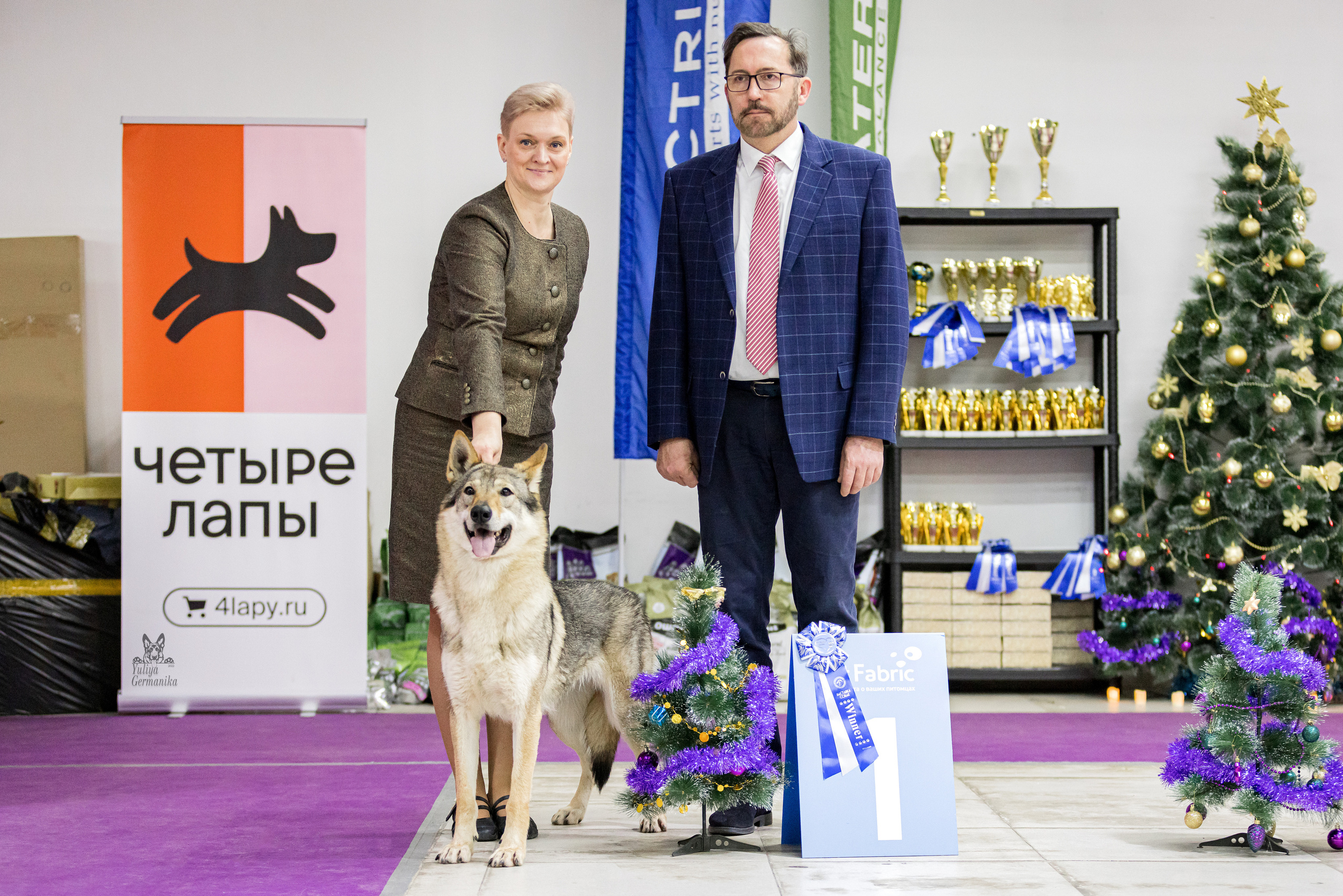 Чайна-Таун 24-25.12.2022. Фотограф-анималист Юлия Германика