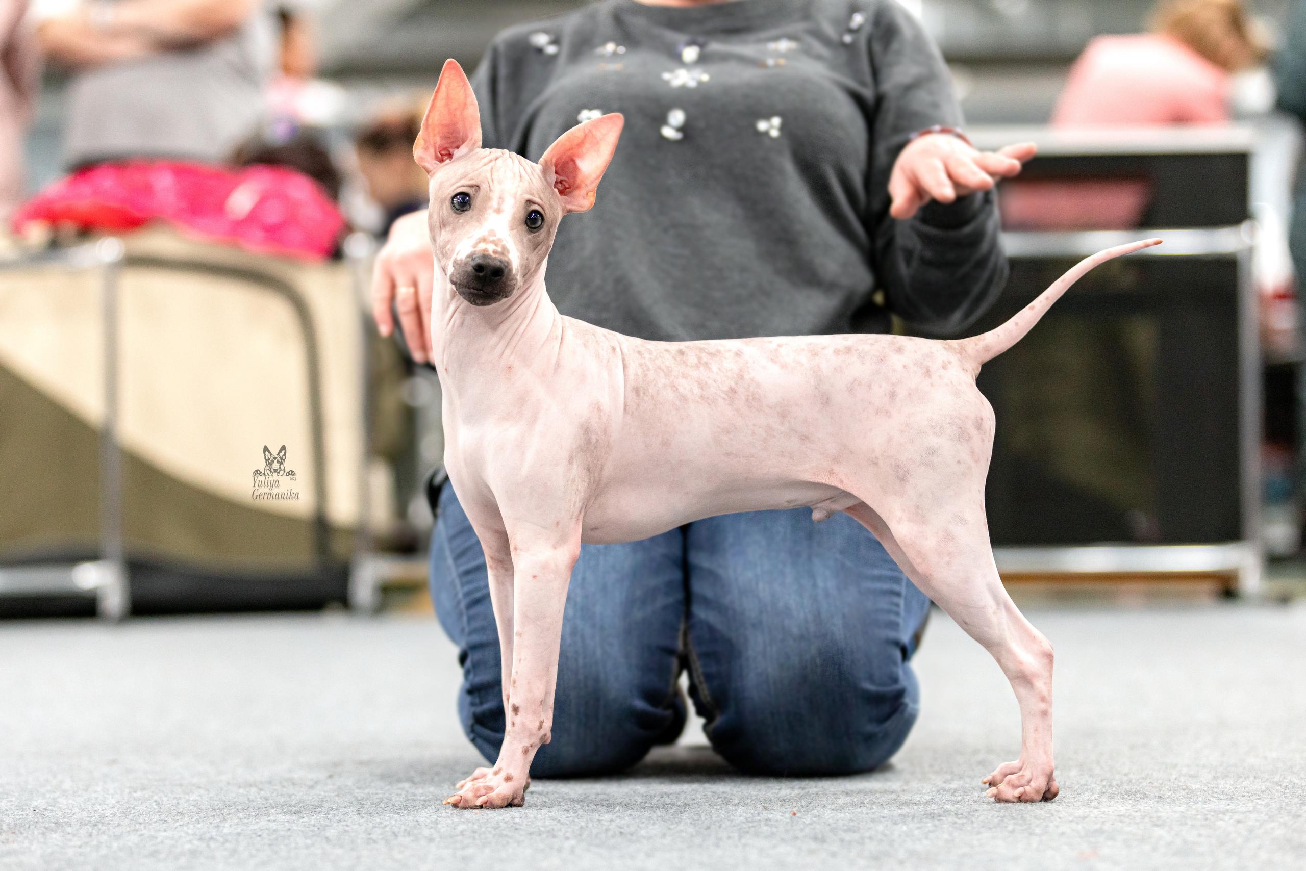 Сфера 5.03.2023. Фотограф-анималист Юлия Германика