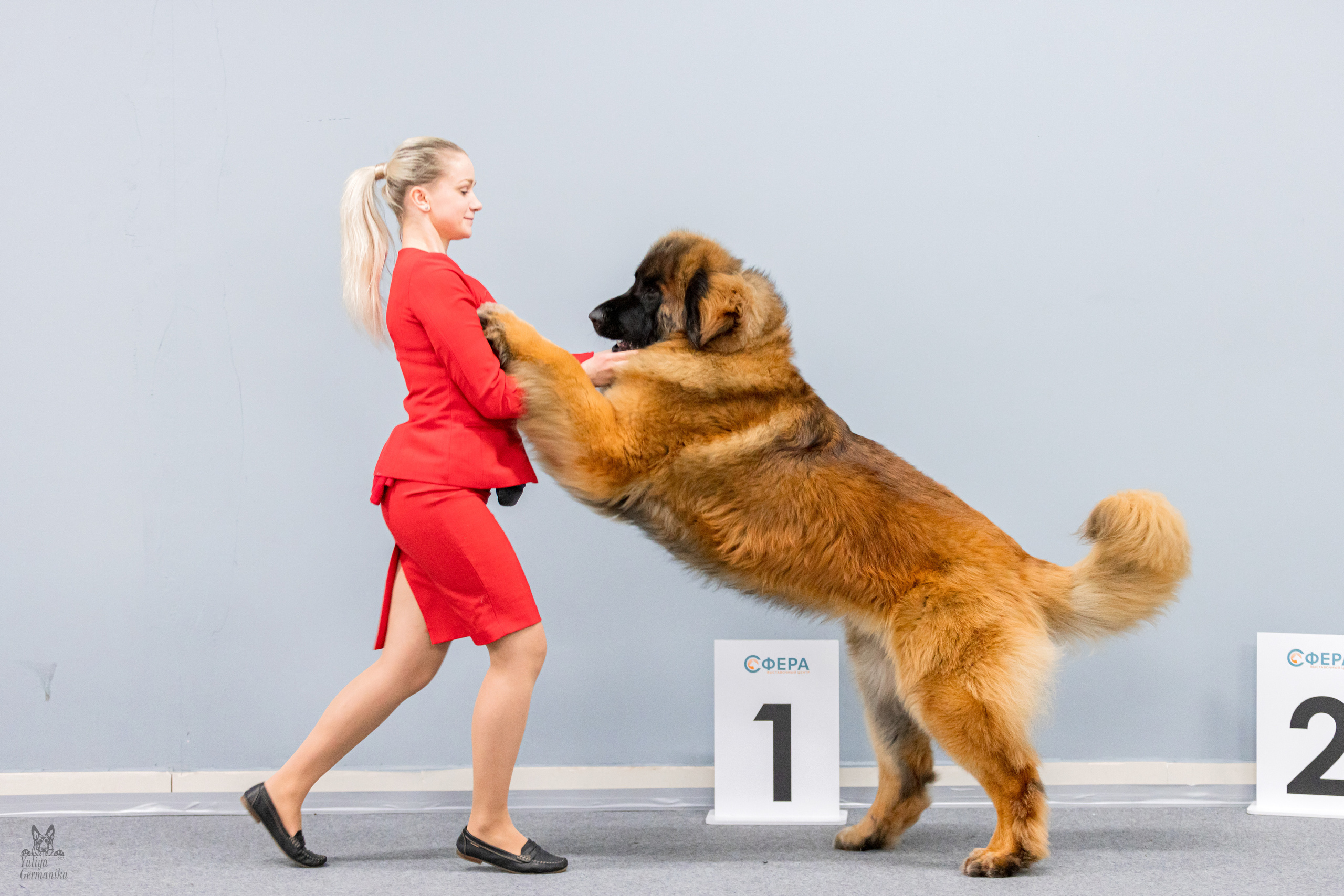 Сфера 5.03.2023. Фотограф-анималист Юлия Германика