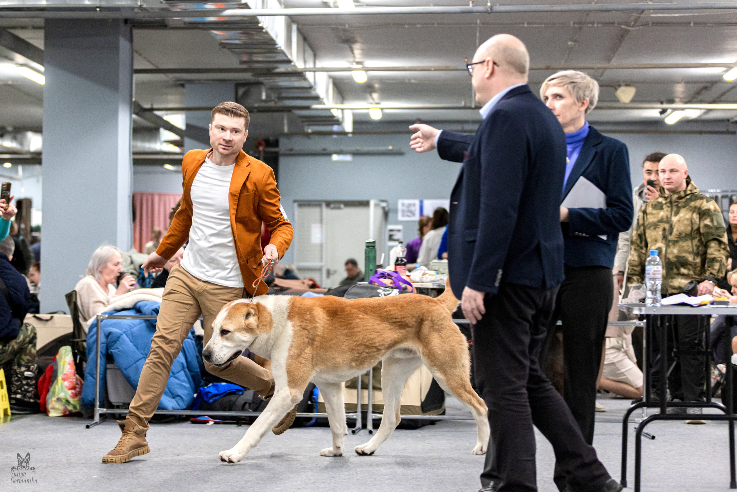 Сфера 5.03.2023. Фотограф-анималист Юлия Германика