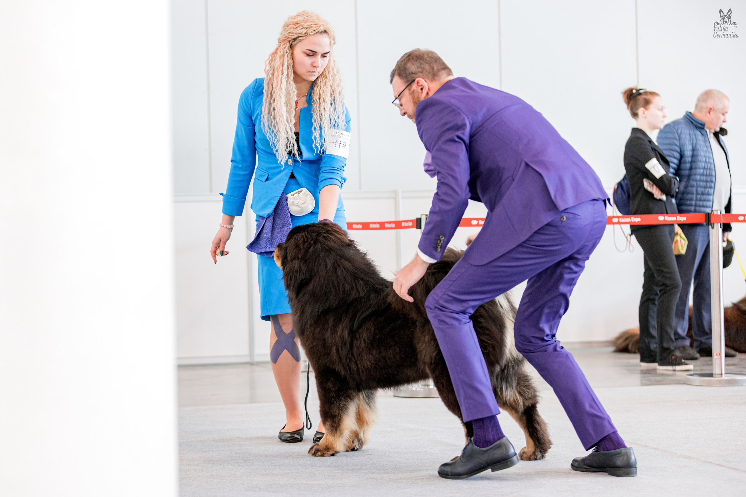 Казань 11.03.2023. Фотограф-анималист Юлия Германика