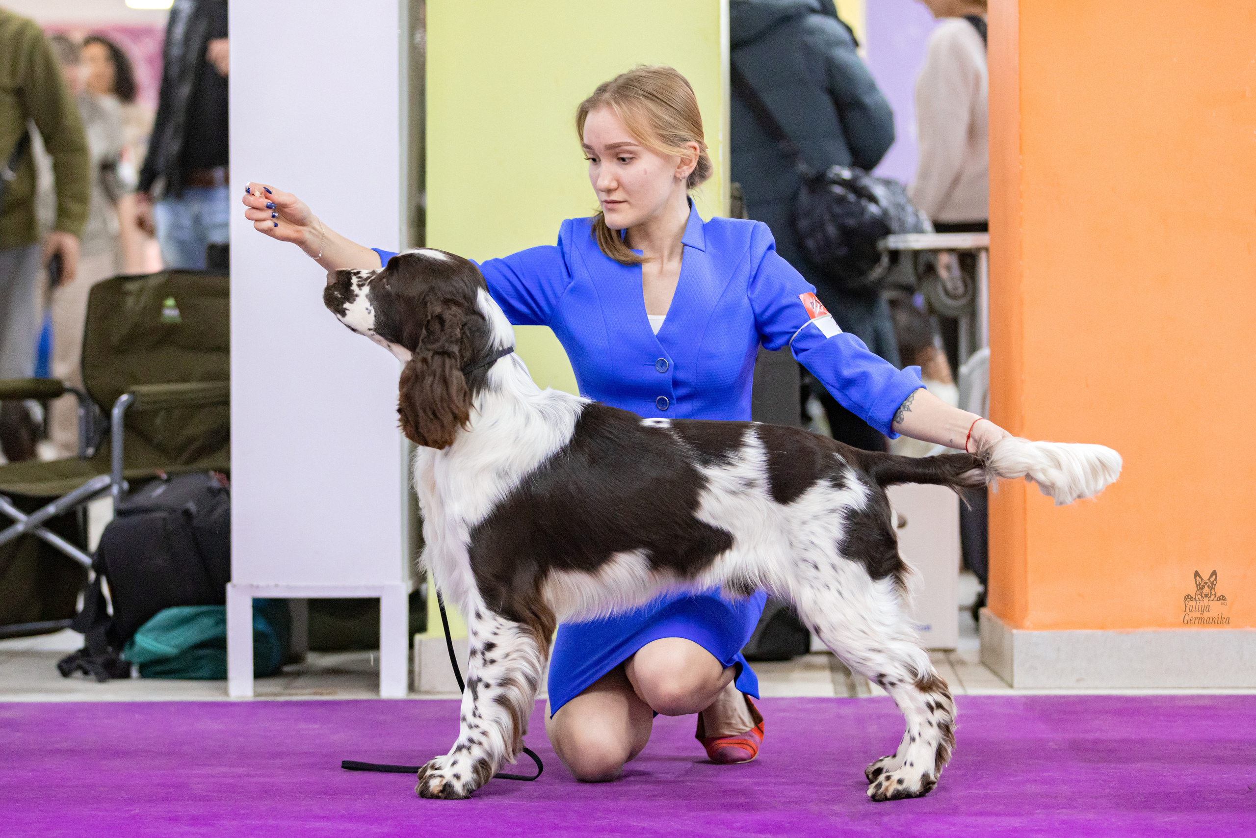 Чайна-Таун 15,21 и 22.01.2023. Фотограф-анималист Юлия Германика