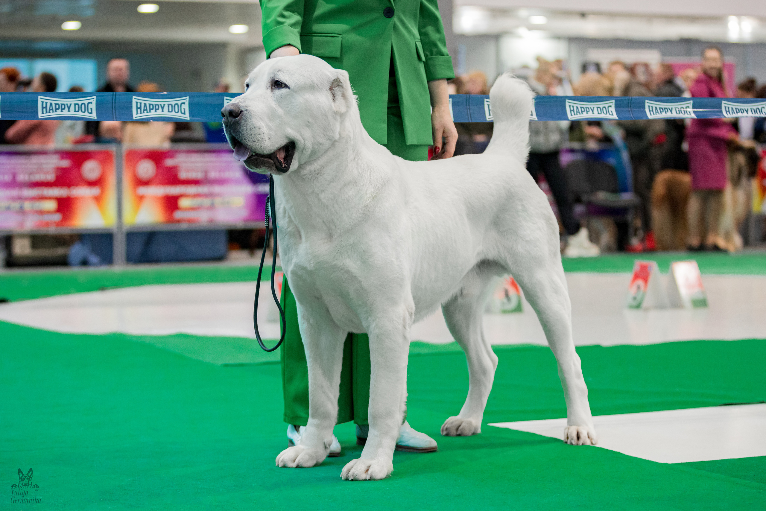 Минск 25-26.02.2023. Фотограф-анималист Юлия Германика