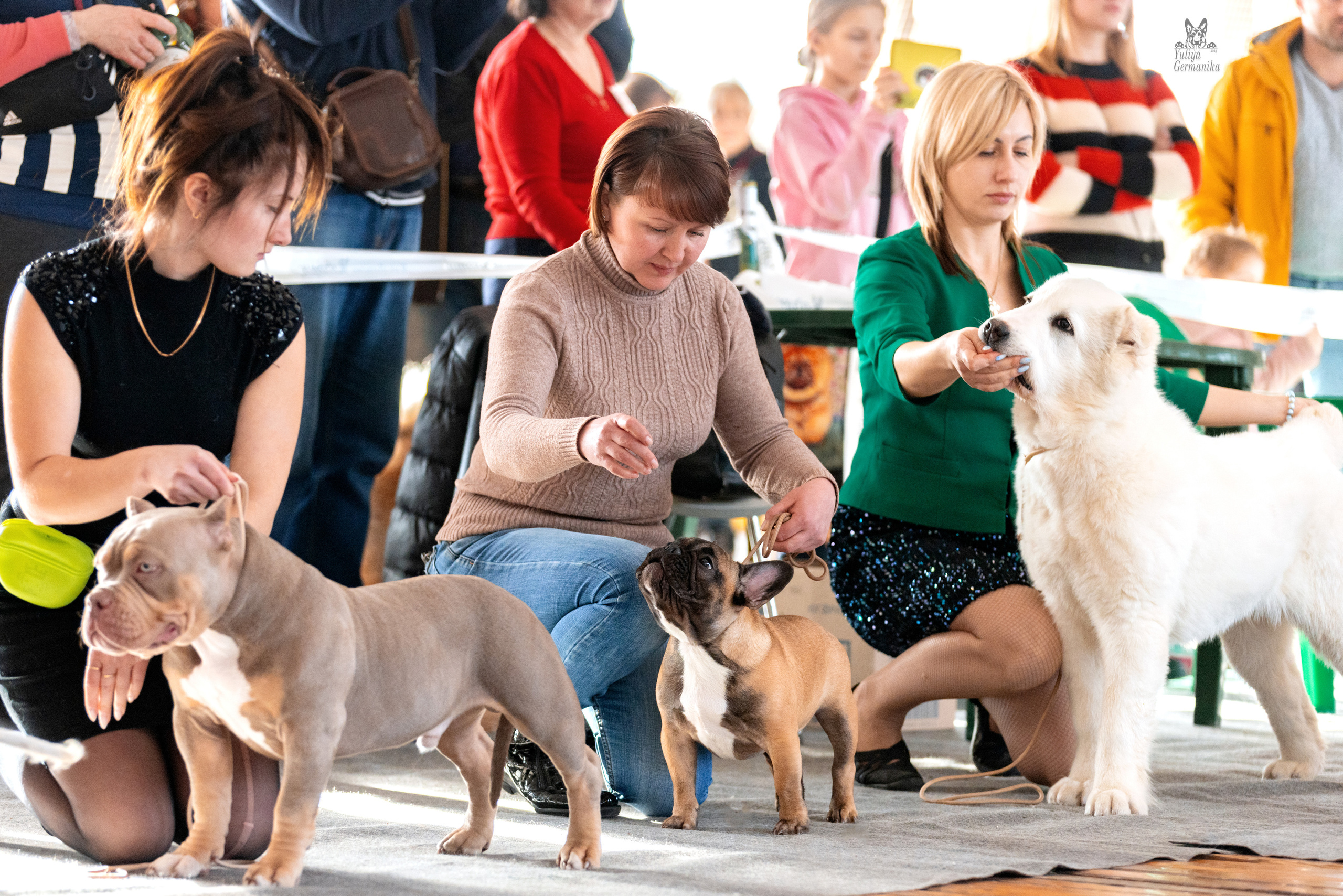 Тверь 19.03.2023. Фотограф-анималист Юлия Германика