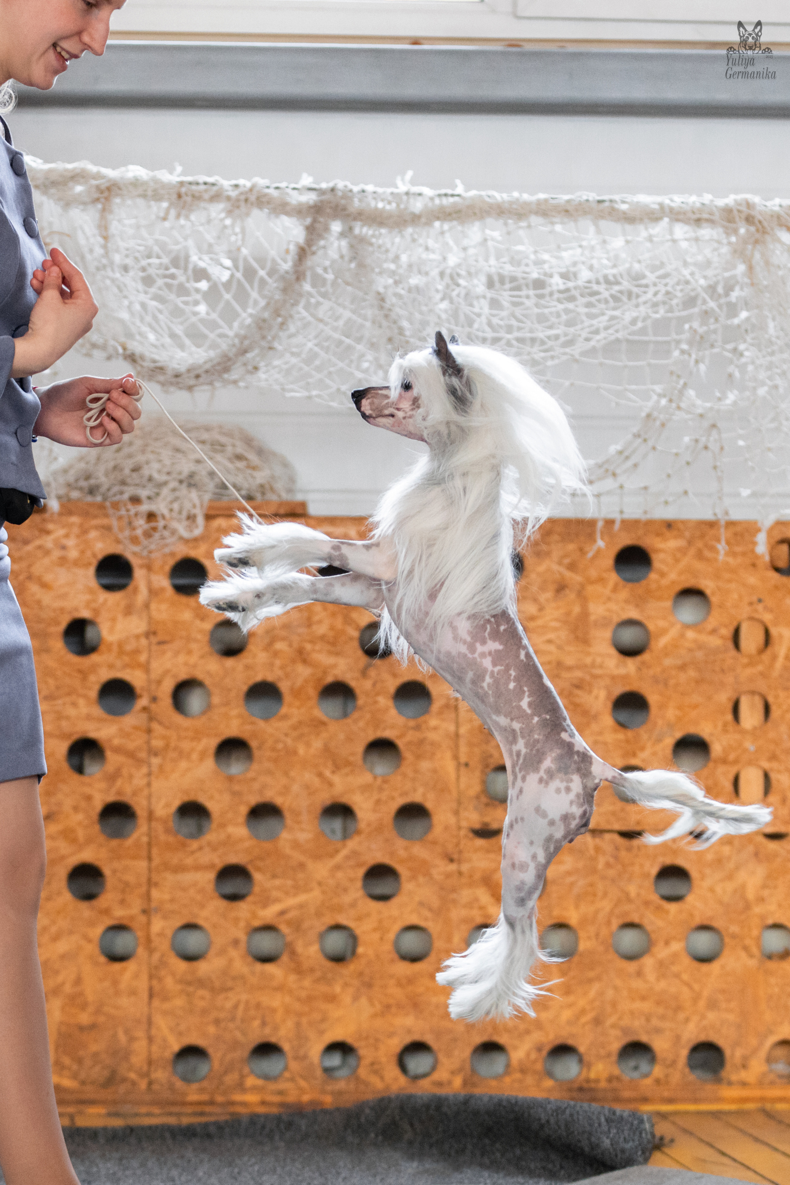 Тверь 19.03.2023. Фотограф-анималист Юлия Германика