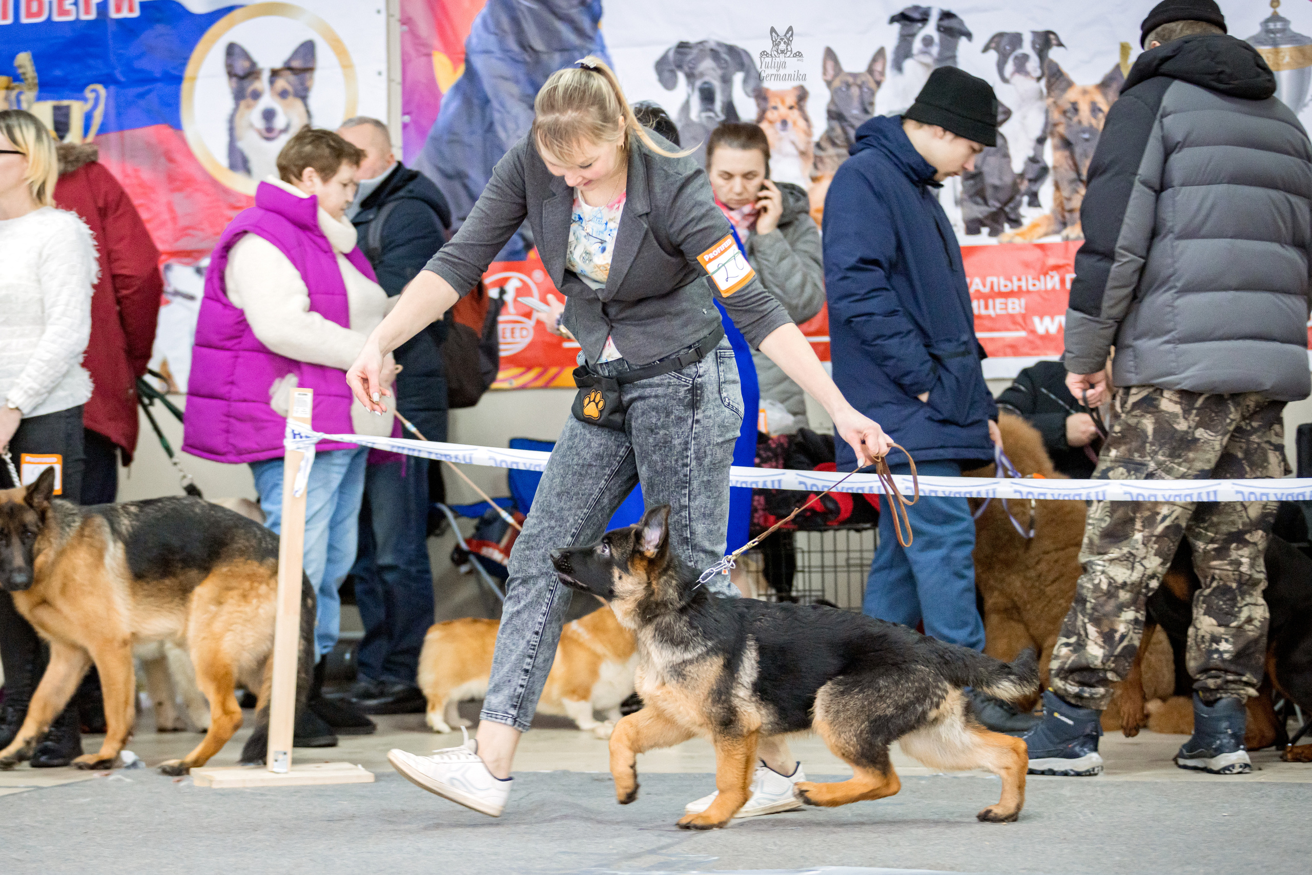 Тверь 19.02.2023. Фотограф-анималист Юлия Германика