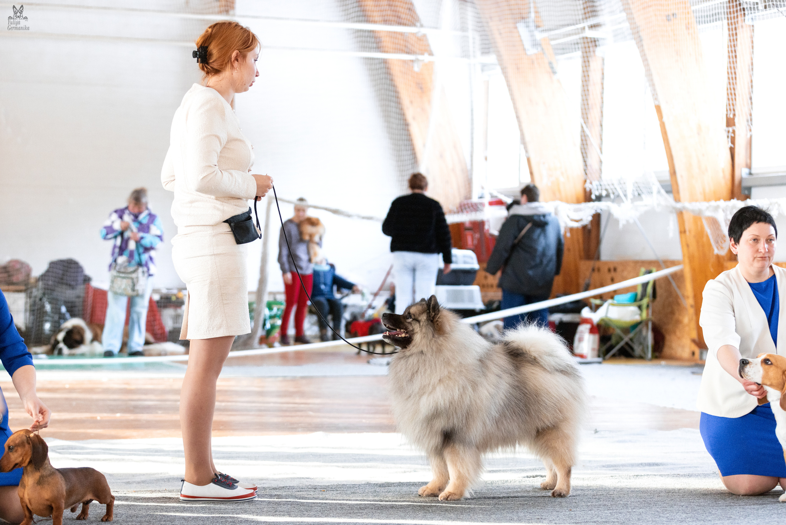 Тверь 19.03.2023. Фотограф-анималист Юлия Германика