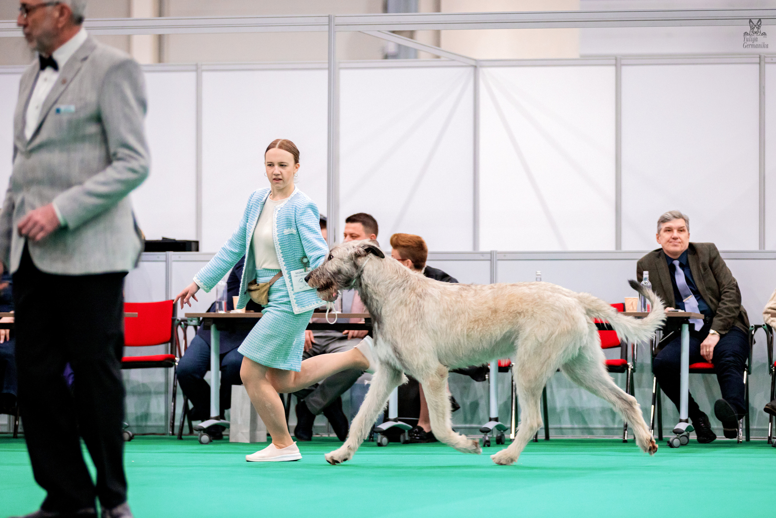 Казань 11.03.2023. Фотограф-анималист Юлия Германика