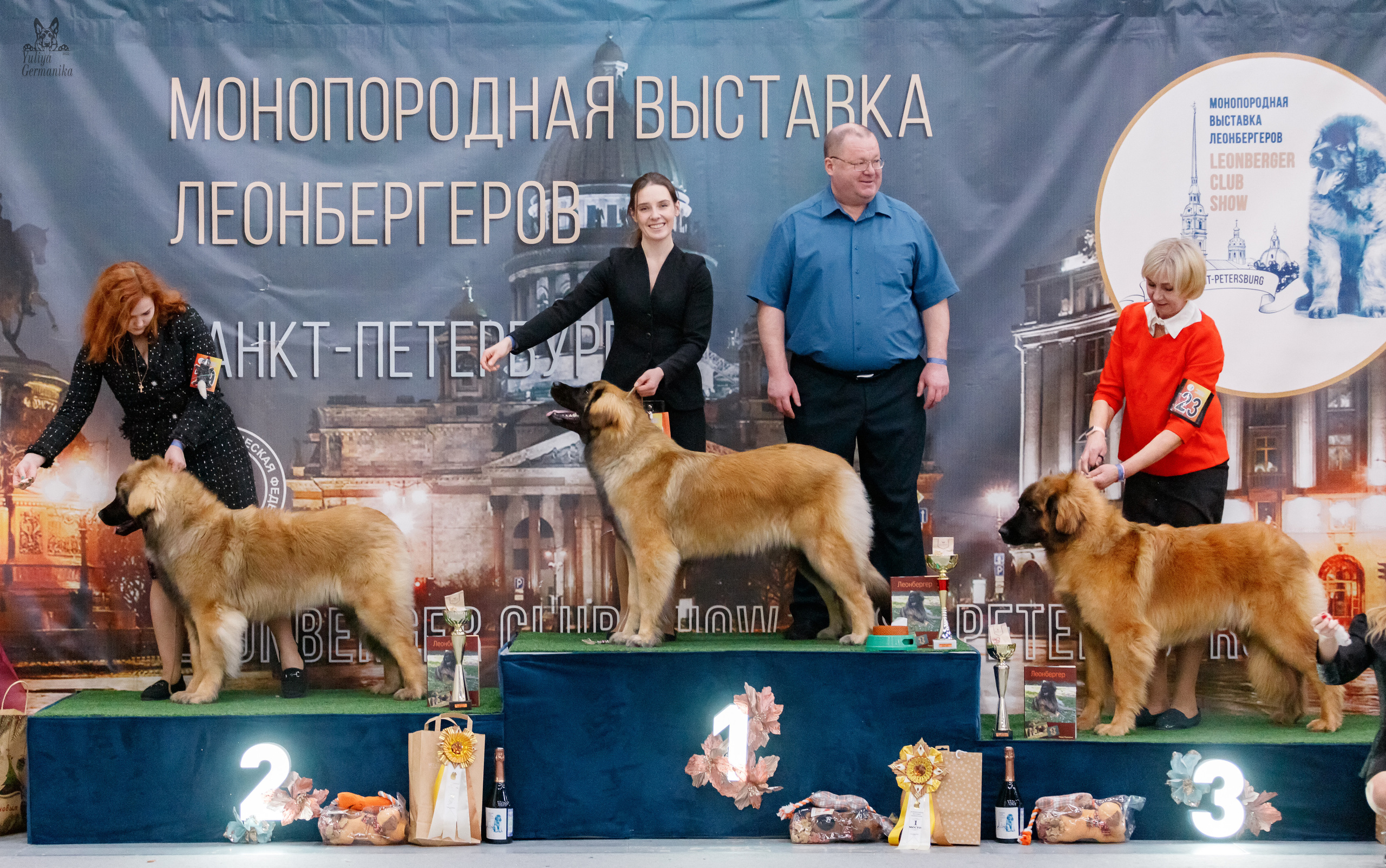 Питер 17-18.12.2022. Фотограф-анималист Юлия Германика