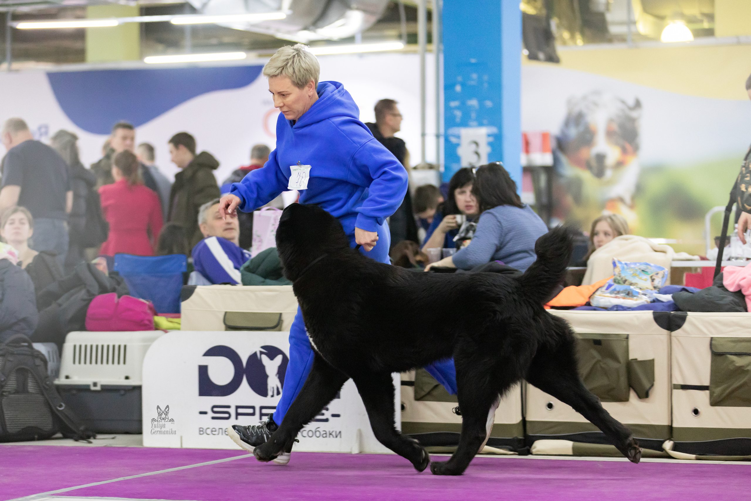 Чайна-Таун 4-5.02.2023. Фотограф-анималист Юлия Германика