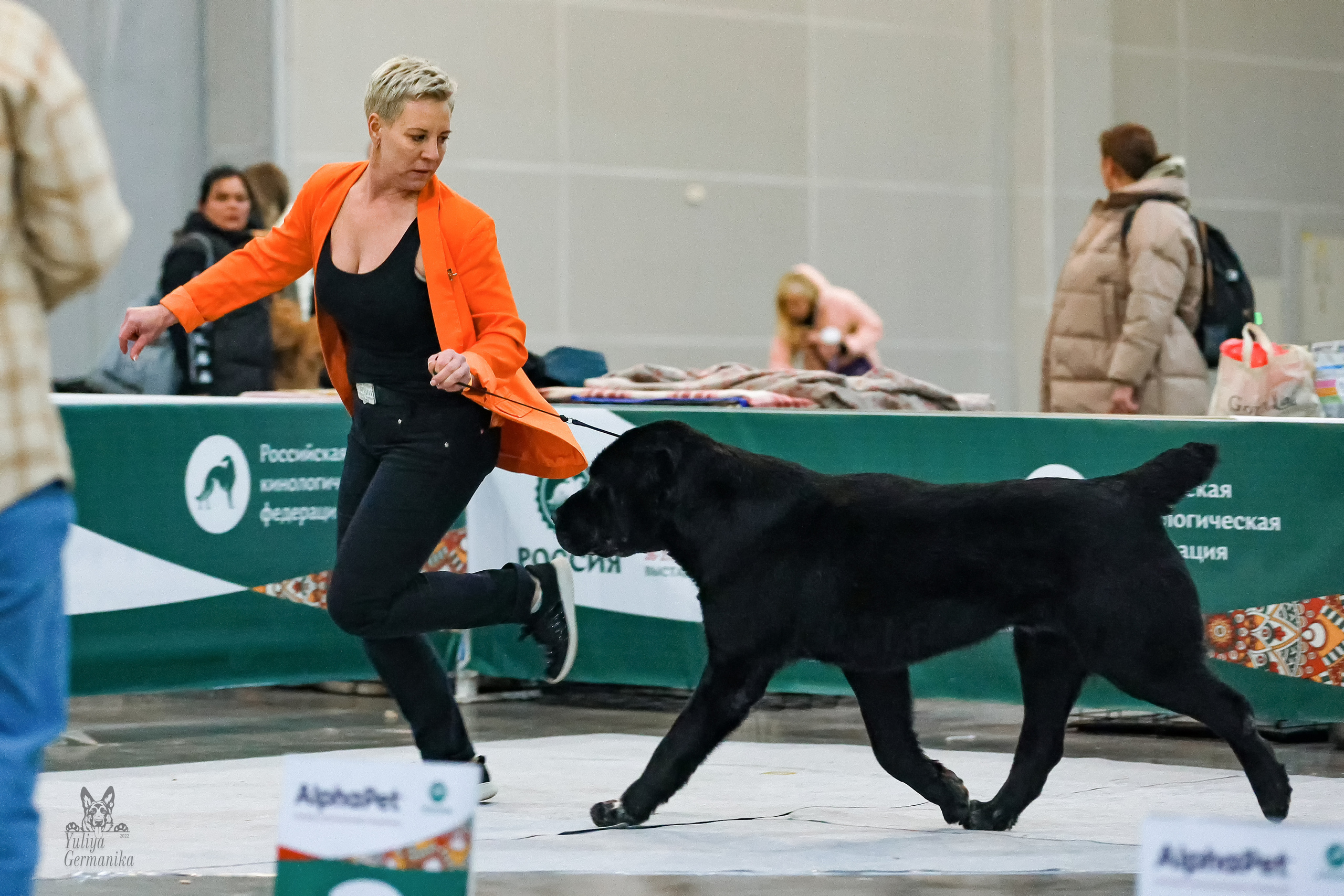 Россия 2020-2022 26-27.11.2022. Фотограф-анималист Юлия Германика